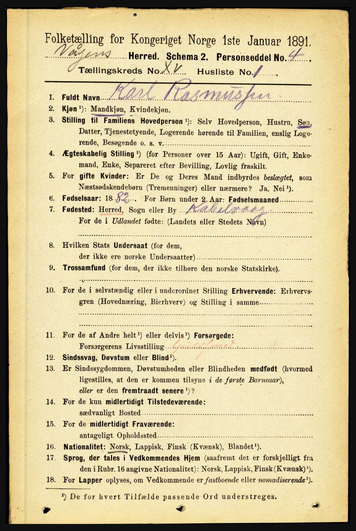 RA, 1891 census for 1865 Vågan, 1891, p. 4081