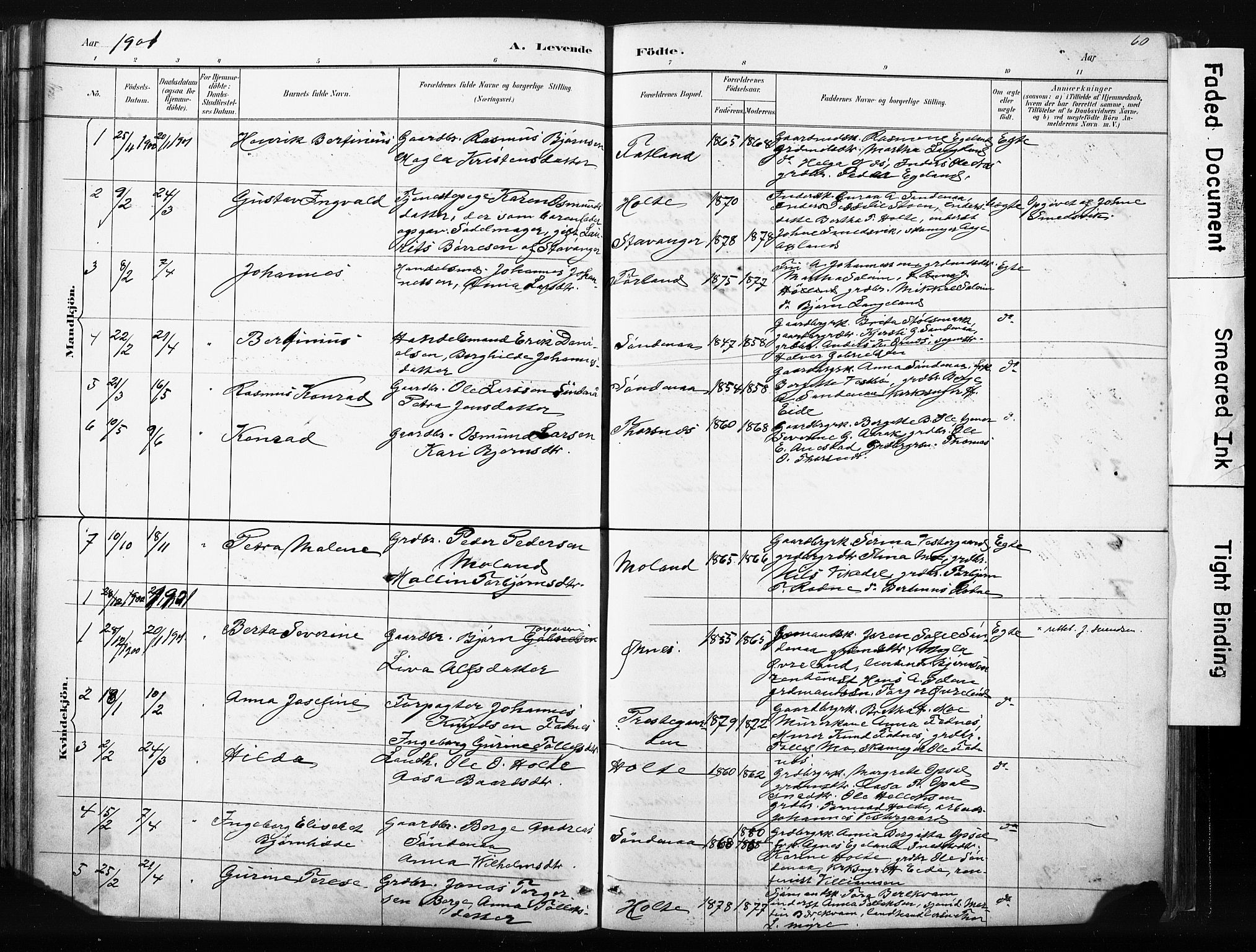 Vikedal sokneprestkontor, AV/SAST-A-101840/01/IV: Parish register (official) no. A 10, 1884-1907, p. 60