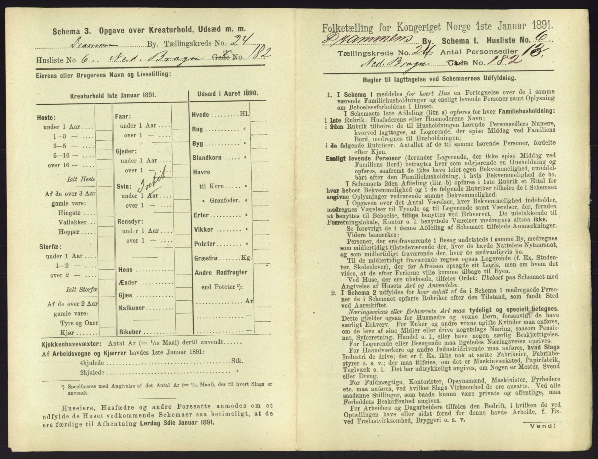 RA, 1891 census for 0602 Drammen, 1891, p. 2005