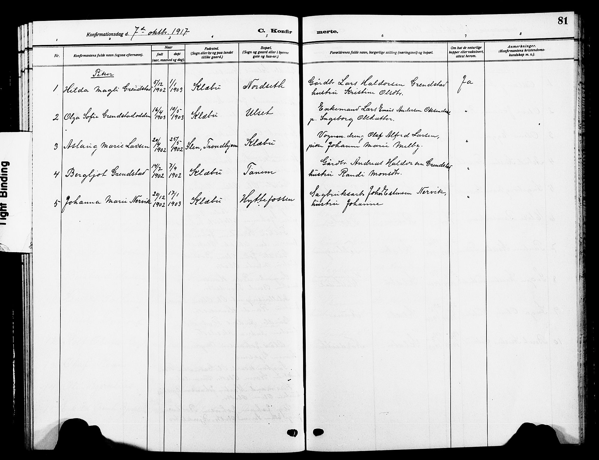 Ministerialprotokoller, klokkerbøker og fødselsregistre - Sør-Trøndelag, SAT/A-1456/618/L0453: Parish register (copy) no. 618C04, 1907-1925, p. 81