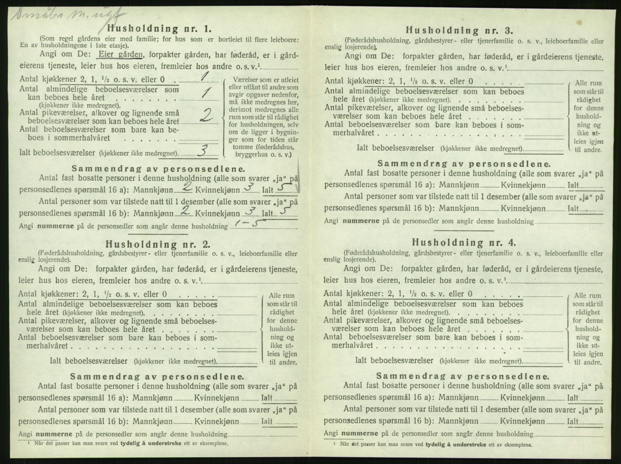 SAT, 1920 census for Vik, 1920, p. 848