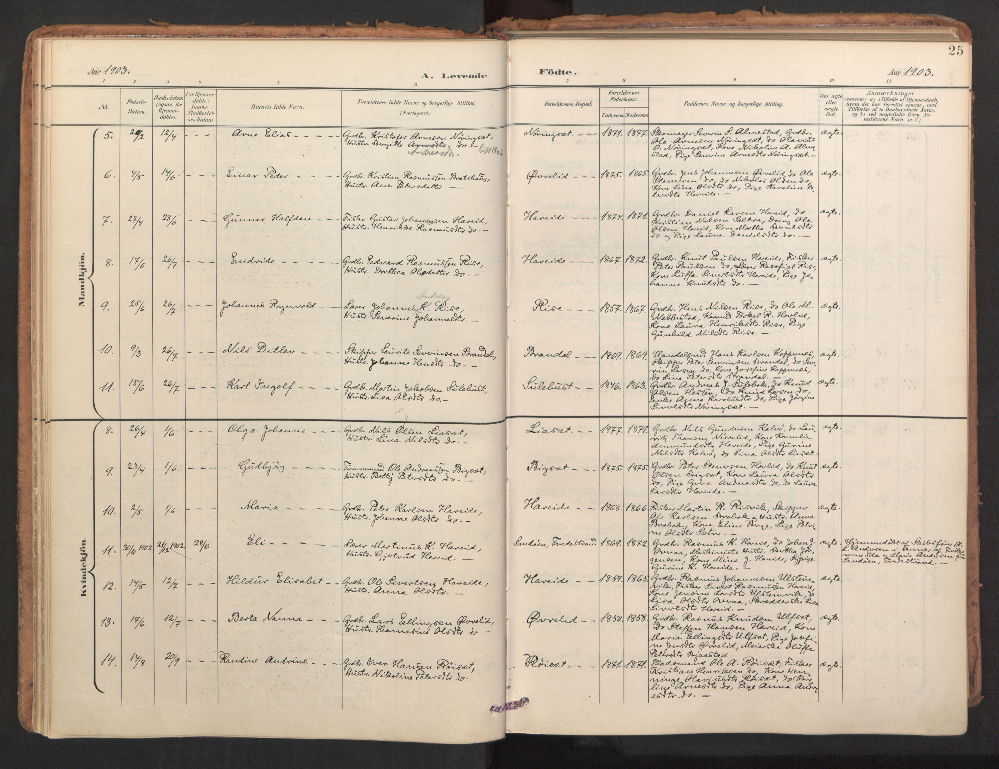 Ministerialprotokoller, klokkerbøker og fødselsregistre - Møre og Romsdal, SAT/A-1454/510/L0123: Parish register (official) no. 510A03, 1898-1922, p. 25