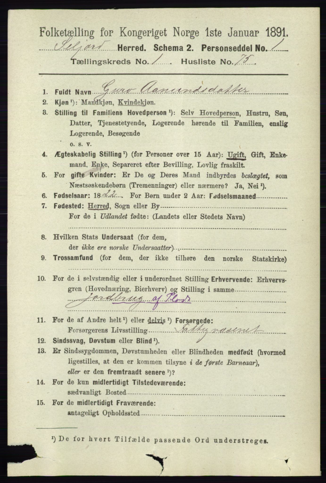 RA, 1891 census for 0828 Seljord, 1891, p. 494