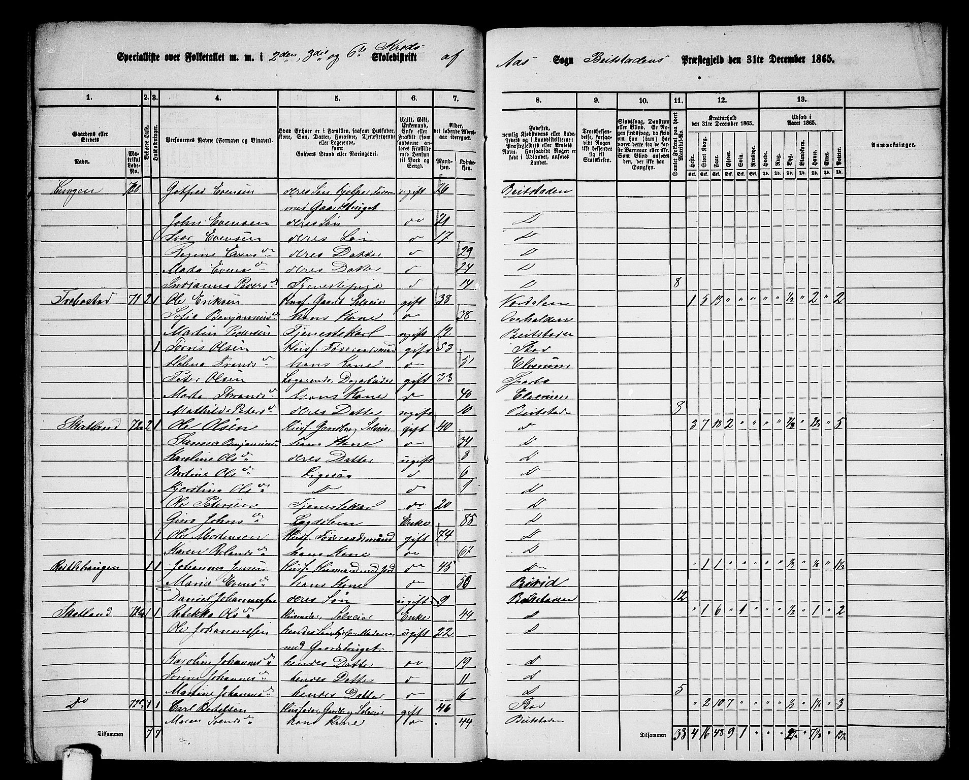 RA, 1865 census for Beitstad, 1865, p. 201