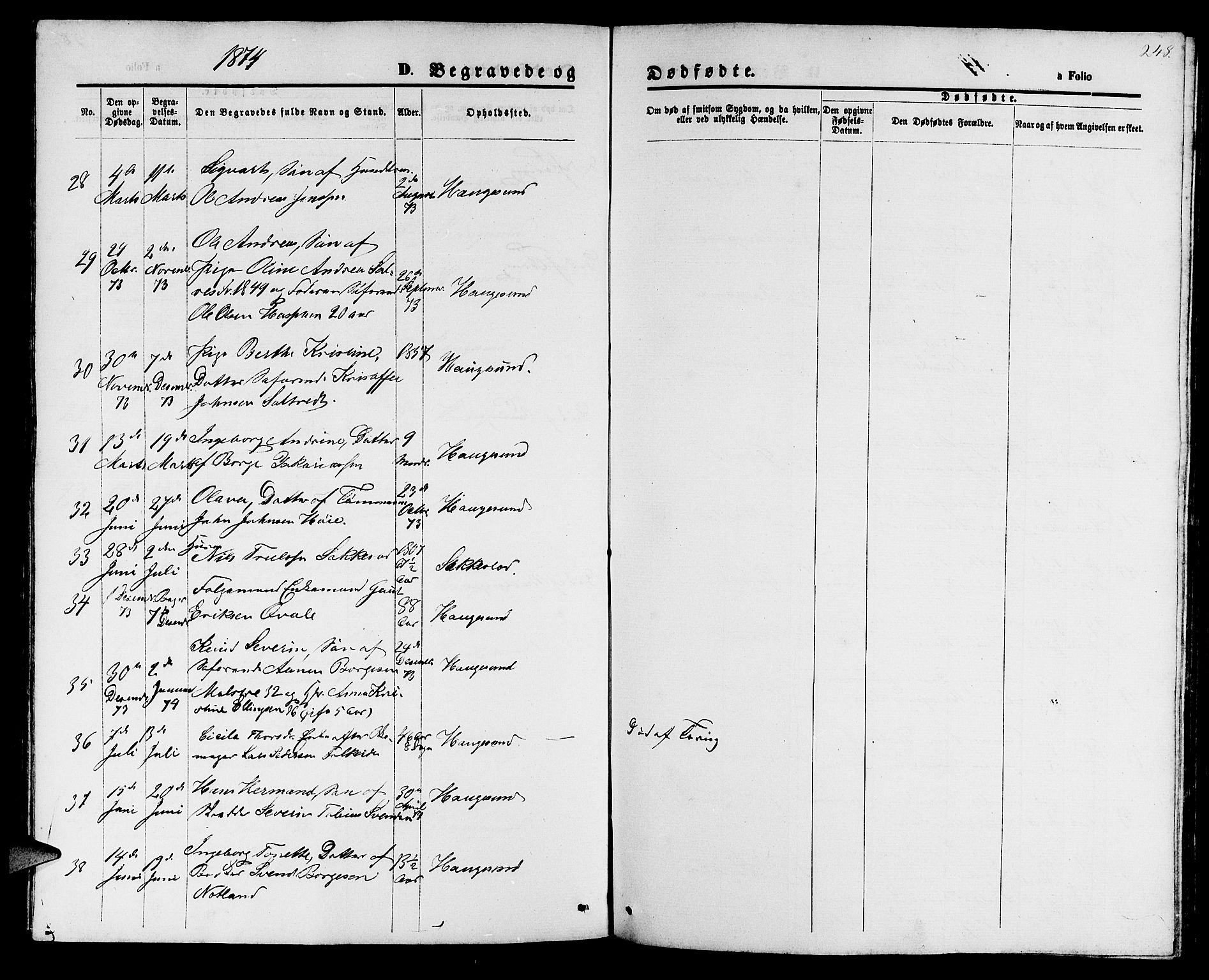 Haugesund sokneprestkontor, AV/SAST-A -101863/H/Ha/Hab/L0001: Parish register (copy) no. B 1, 1873-1881, p. 248