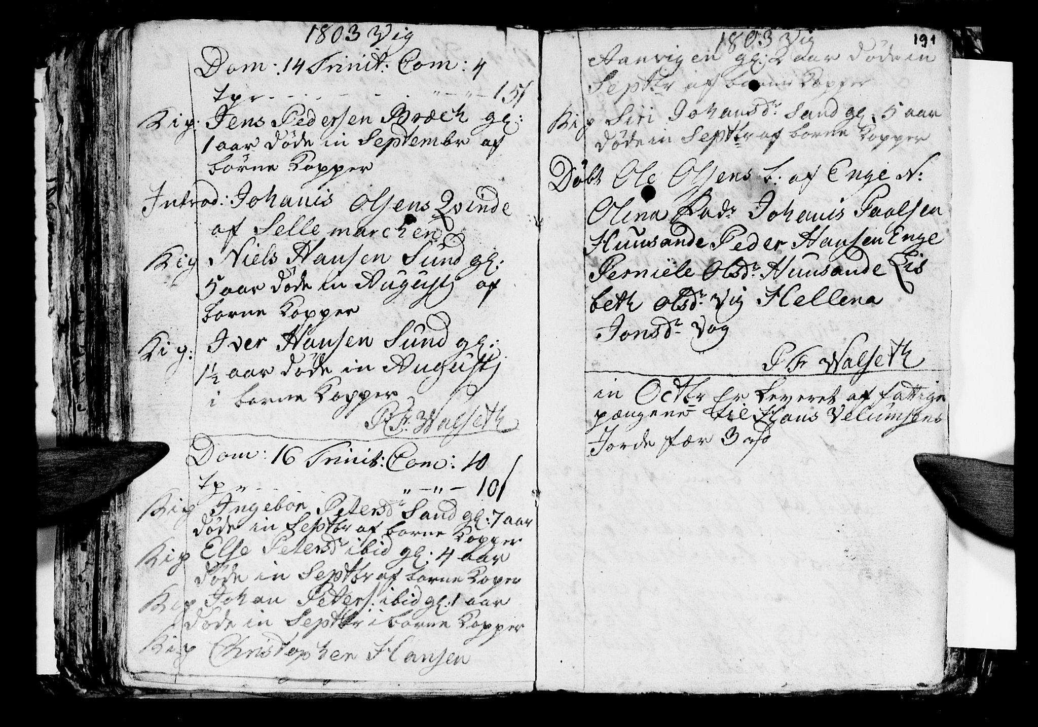 Ministerialprotokoller, klokkerbøker og fødselsregistre - Nordland, AV/SAT-A-1459/812/L0184: Parish register (copy) no. 812C02, 1793-1809, p. 191