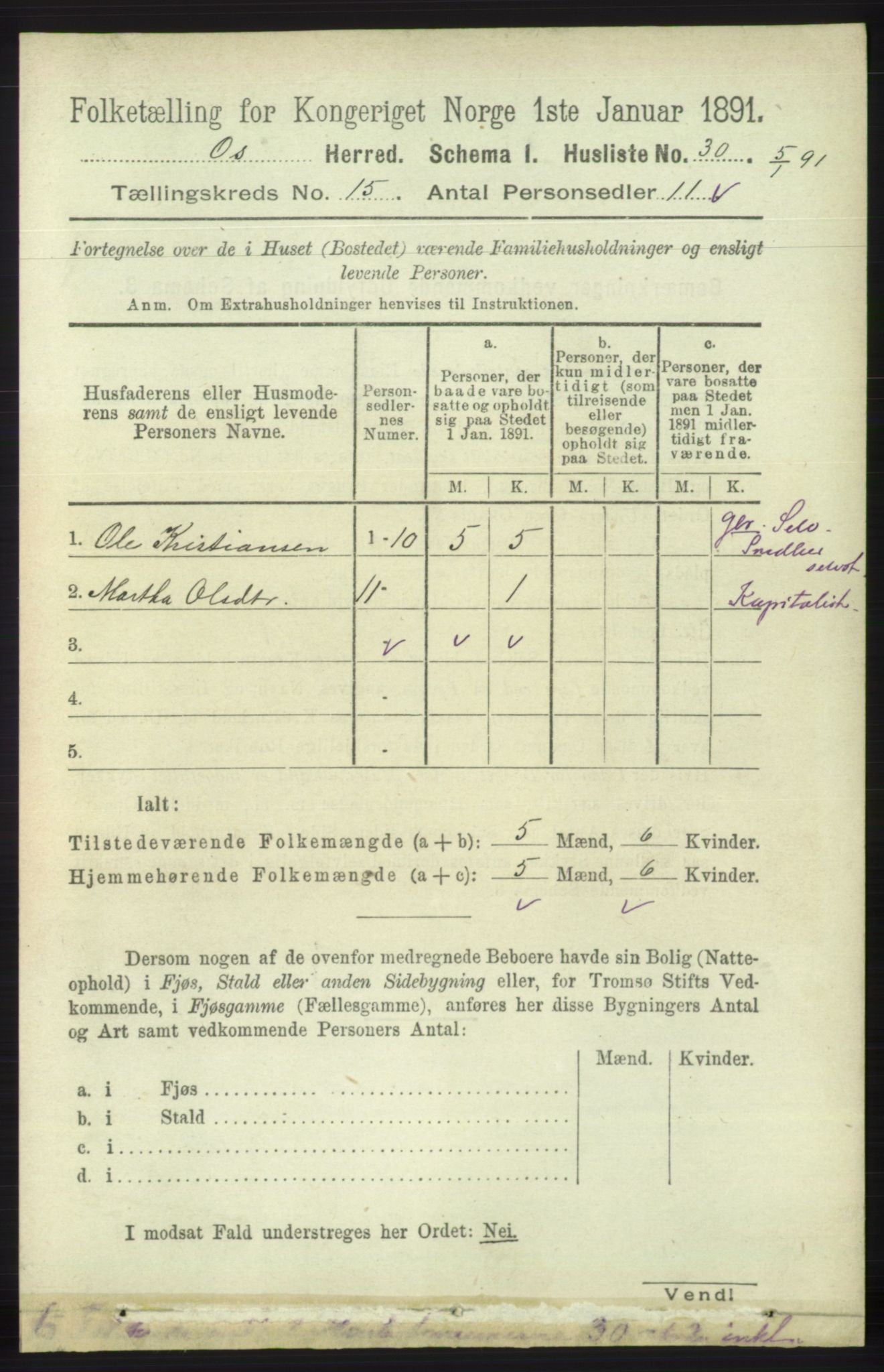 RA, 1891 census for 1243 Os, 1891, p. 3255