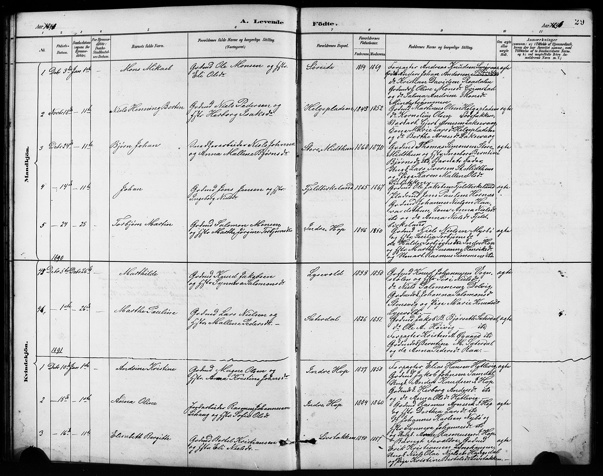 Birkeland Sokneprestembete, SAB/A-74601/H/Hab: Parish register (copy) no. A 4, 1888-1897, p. 29