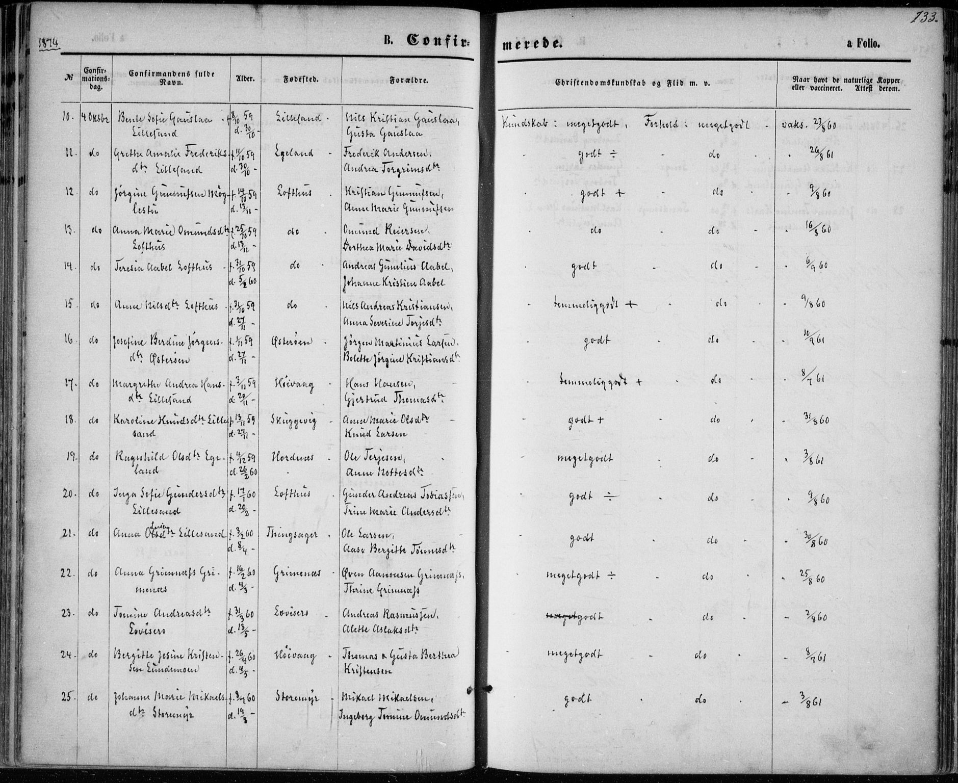 Vestre Moland sokneprestkontor, AV/SAK-1111-0046/F/Fa/Fab/L0008: Parish register (official) no. A 8, 1873-1883, p. 133