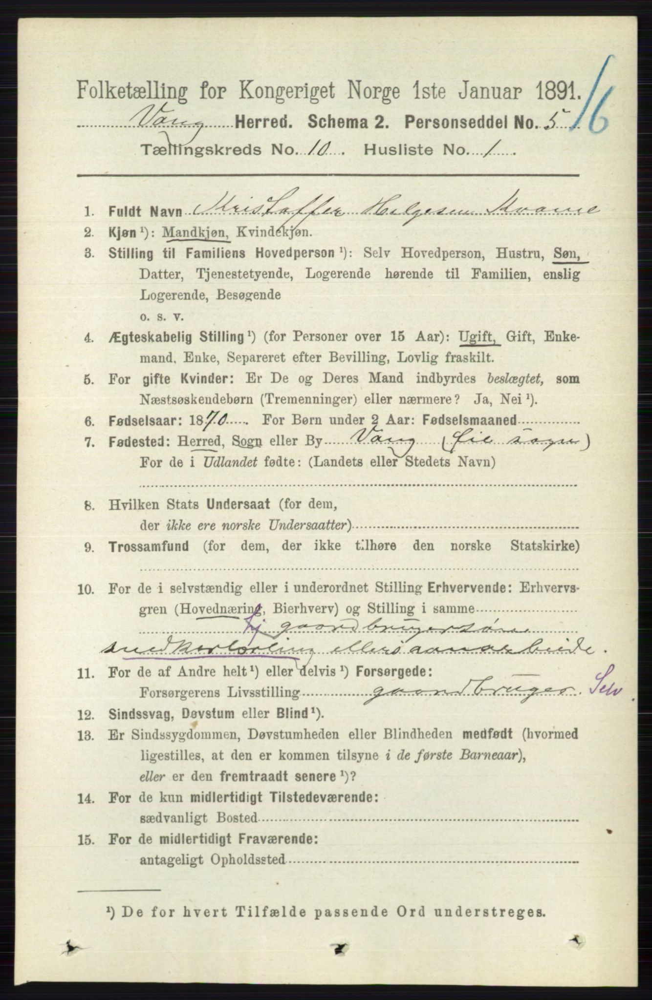 RA, 1891 census for 0545 Vang, 1891, p. 2181