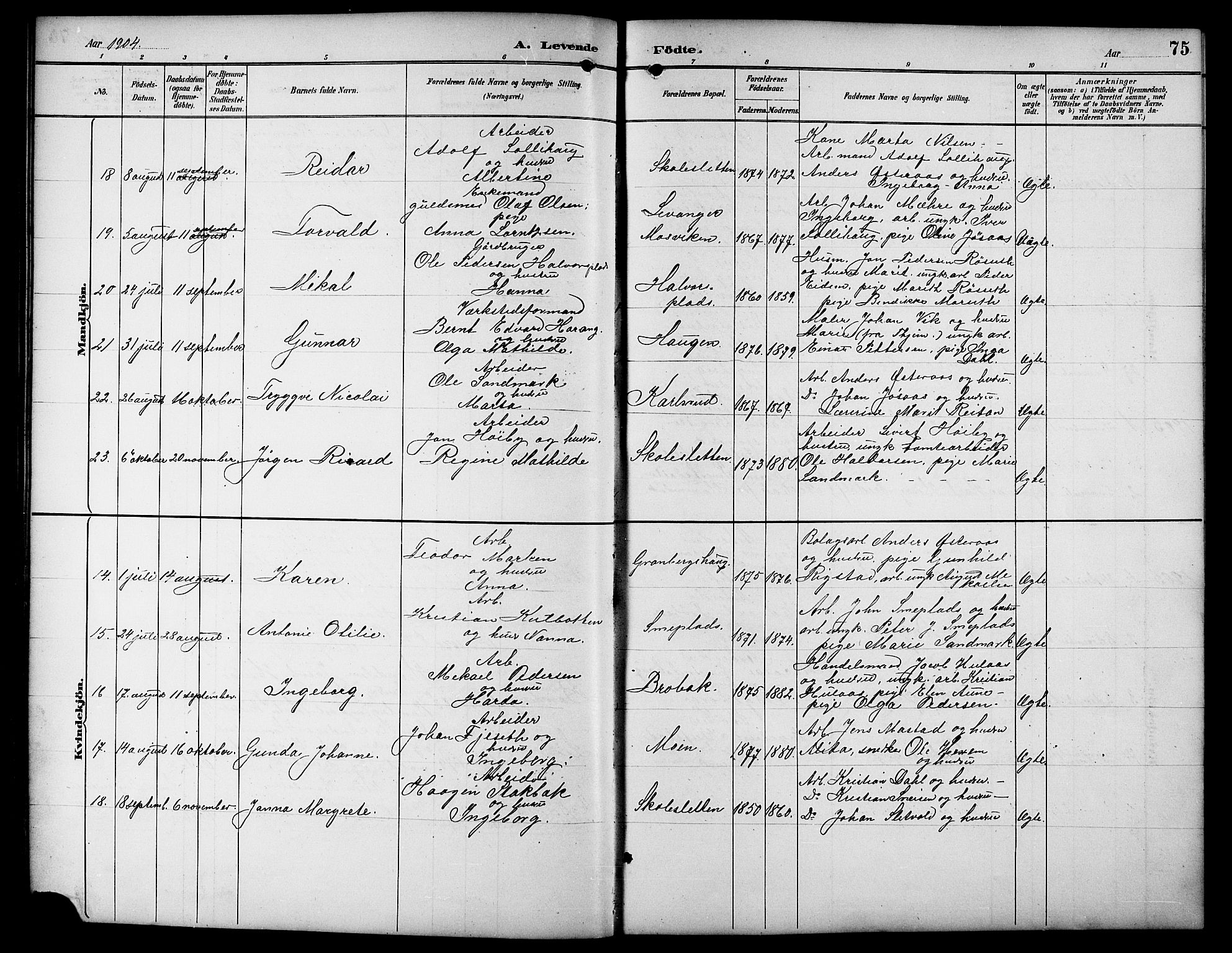 Ministerialprotokoller, klokkerbøker og fødselsregistre - Sør-Trøndelag, SAT/A-1456/617/L0431: Parish register (copy) no. 617C01, 1889-1910, p. 75