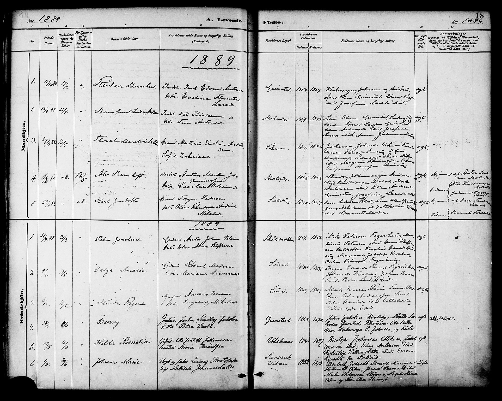 Ministerialprotokoller, klokkerbøker og fødselsregistre - Nordland, AV/SAT-A-1459/892/L1320: Parish register (official) no. 892A01, 1886-1901, p. 18