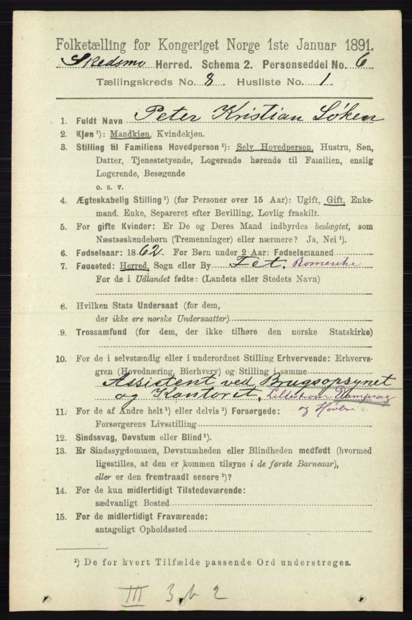 RA, 1891 census for 0231 Skedsmo, 1891, p. 3924