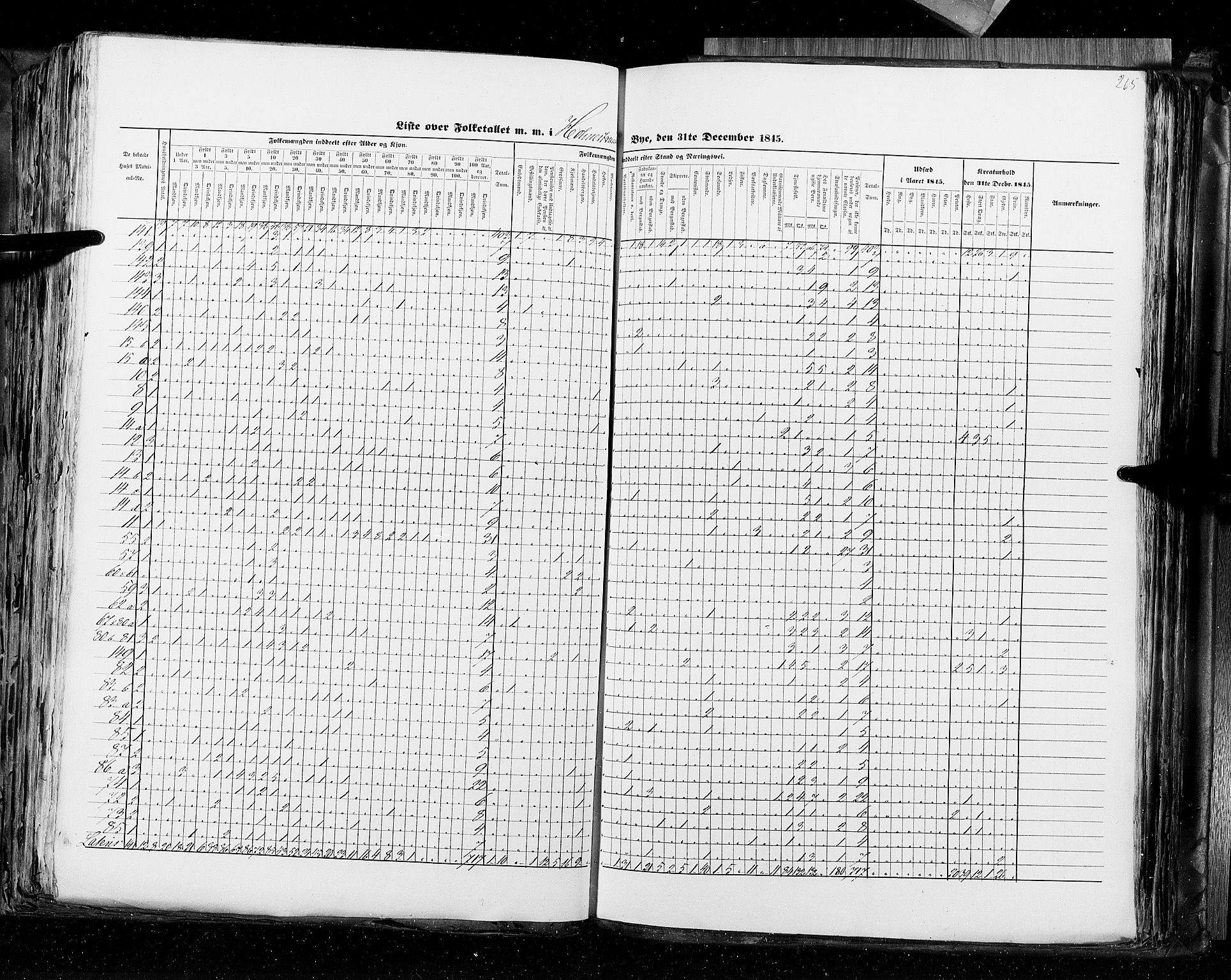 RA, Census 1845, vol. 10: Cities, 1845, p. 265