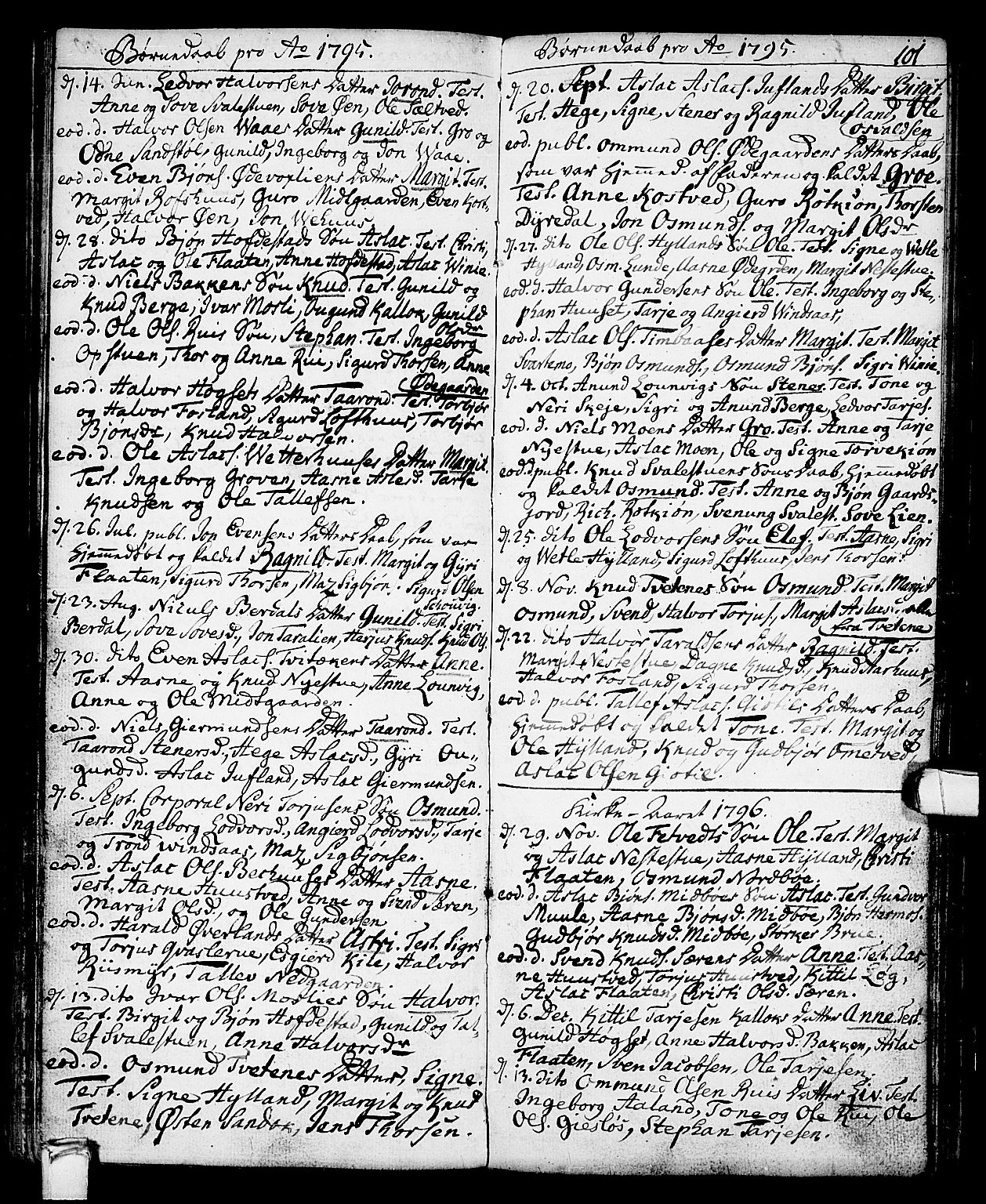 Vinje kirkebøker, SAKO/A-312/F/Fa/L0002: Parish register (official) no. I 2, 1767-1814, p. 101