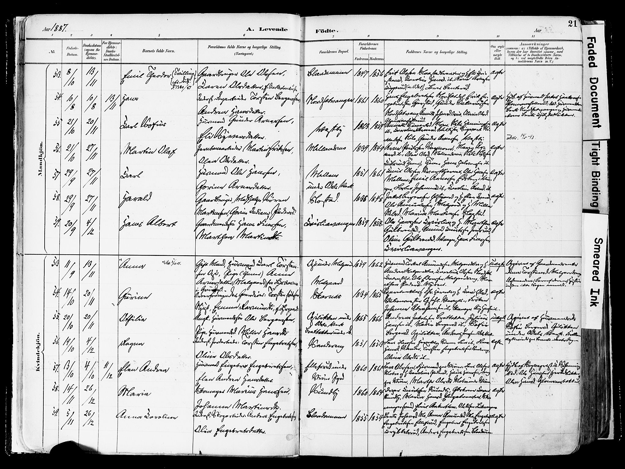 Sør-Odal prestekontor, SAH/PREST-030/H/Ha/Haa/L0006: Parish register (official) no. 6, 1886-1931, p. 21