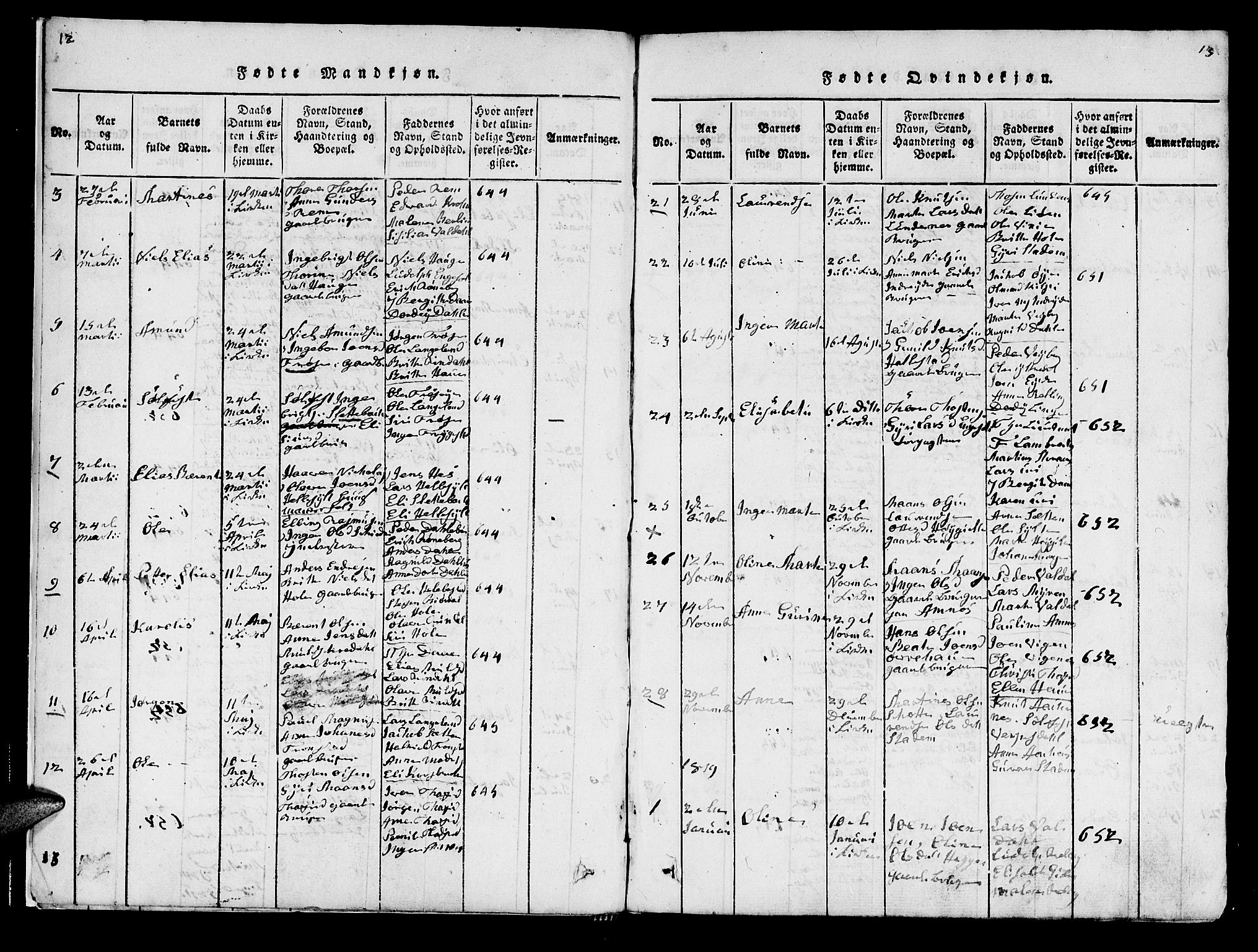 Ministerialprotokoller, klokkerbøker og fødselsregistre - Møre og Romsdal, SAT/A-1454/519/L0246: Parish register (official) no. 519A05, 1817-1834, p. 12-13
