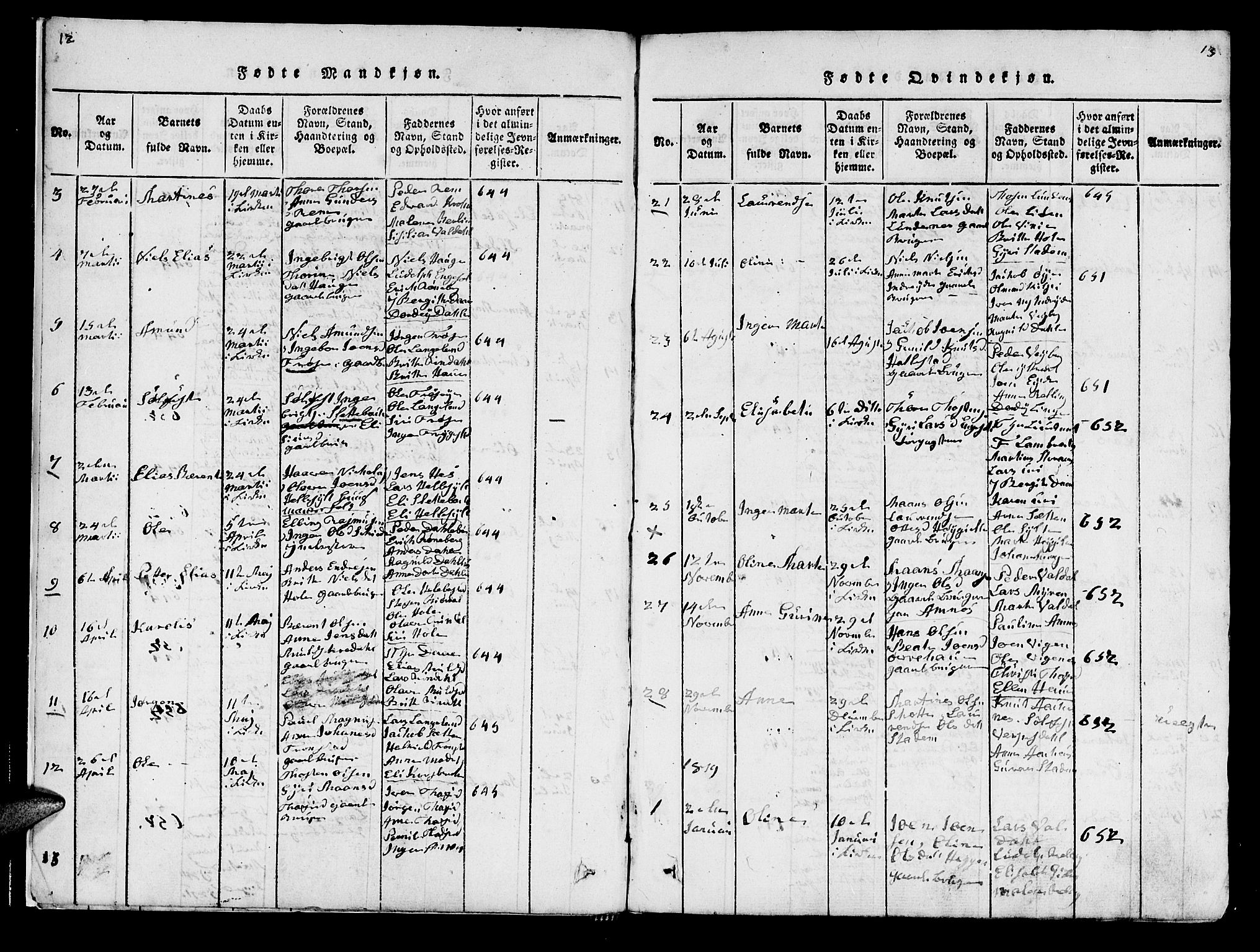 Ministerialprotokoller, klokkerbøker og fødselsregistre - Møre og Romsdal, AV/SAT-A-1454/519/L0246: Parish register (official) no. 519A05, 1817-1834, p. 12-13