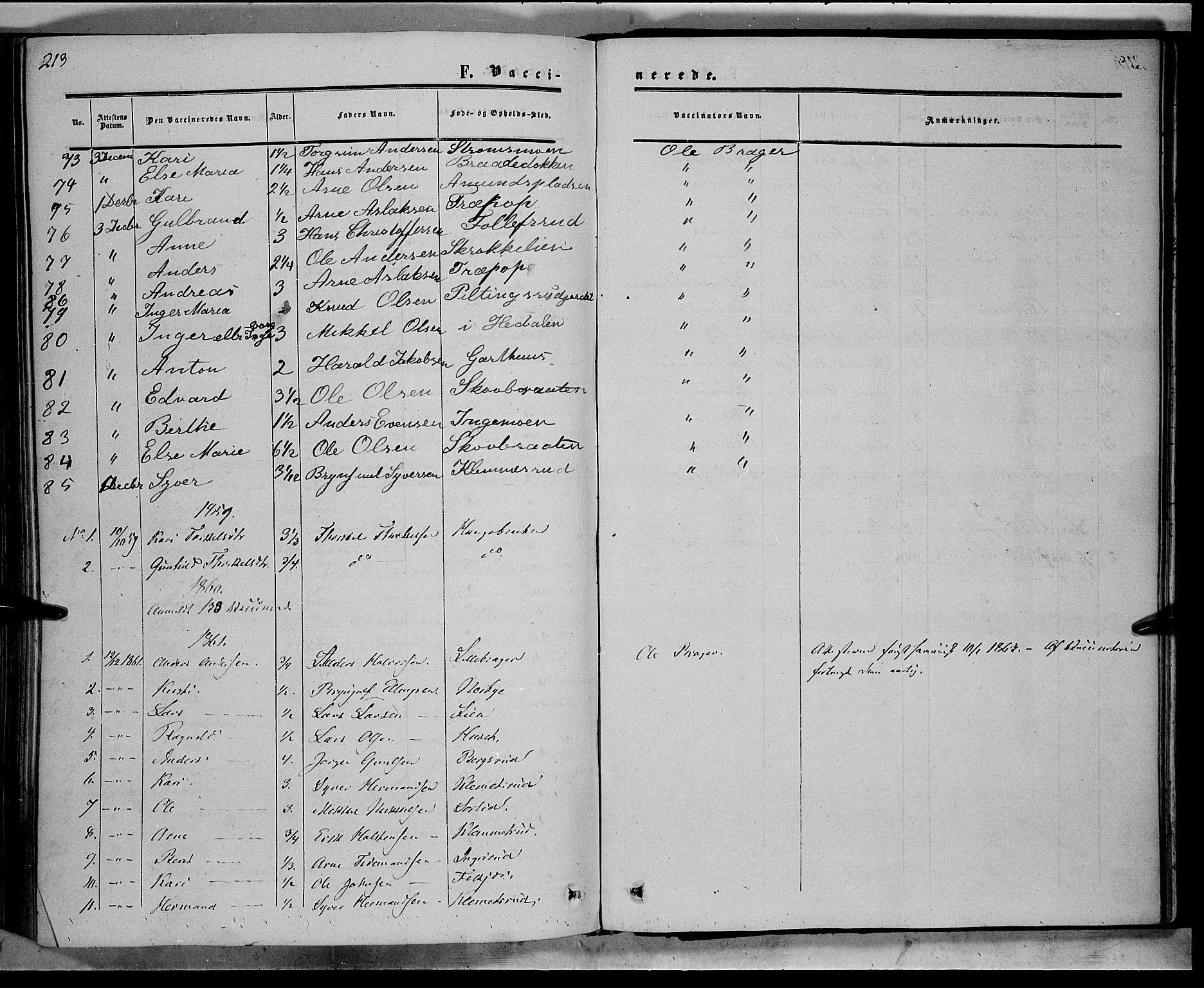 Sør-Aurdal prestekontor, SAH/PREST-128/H/Ha/Haa/L0007: Parish register (official) no. 7, 1849-1876, p. 213