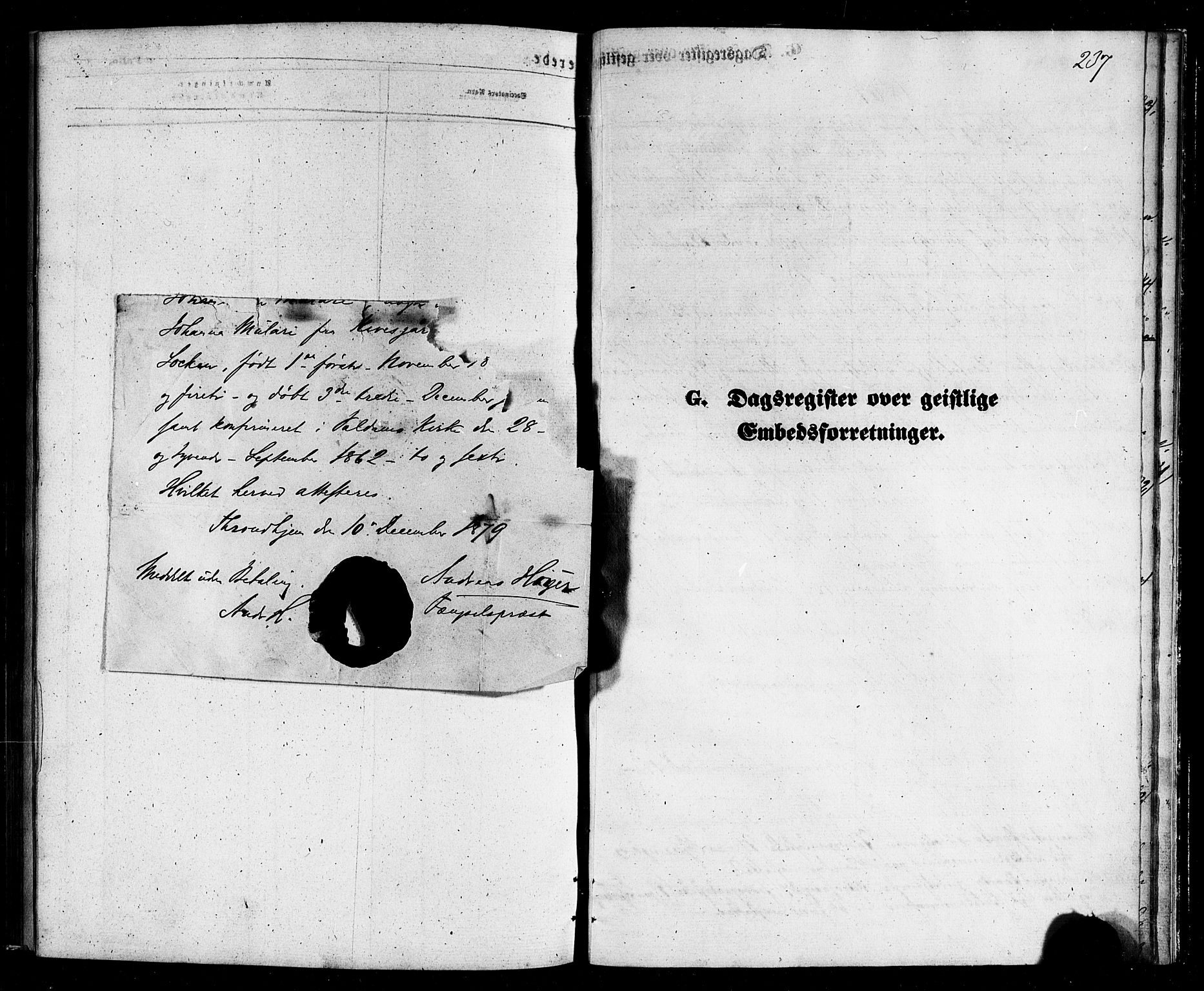Ministerialprotokoller, klokkerbøker og fødselsregistre - Nordland, SAT/A-1459/803/L0075: Parish register (copy) no. 803C02, 1867-1881, p. 237