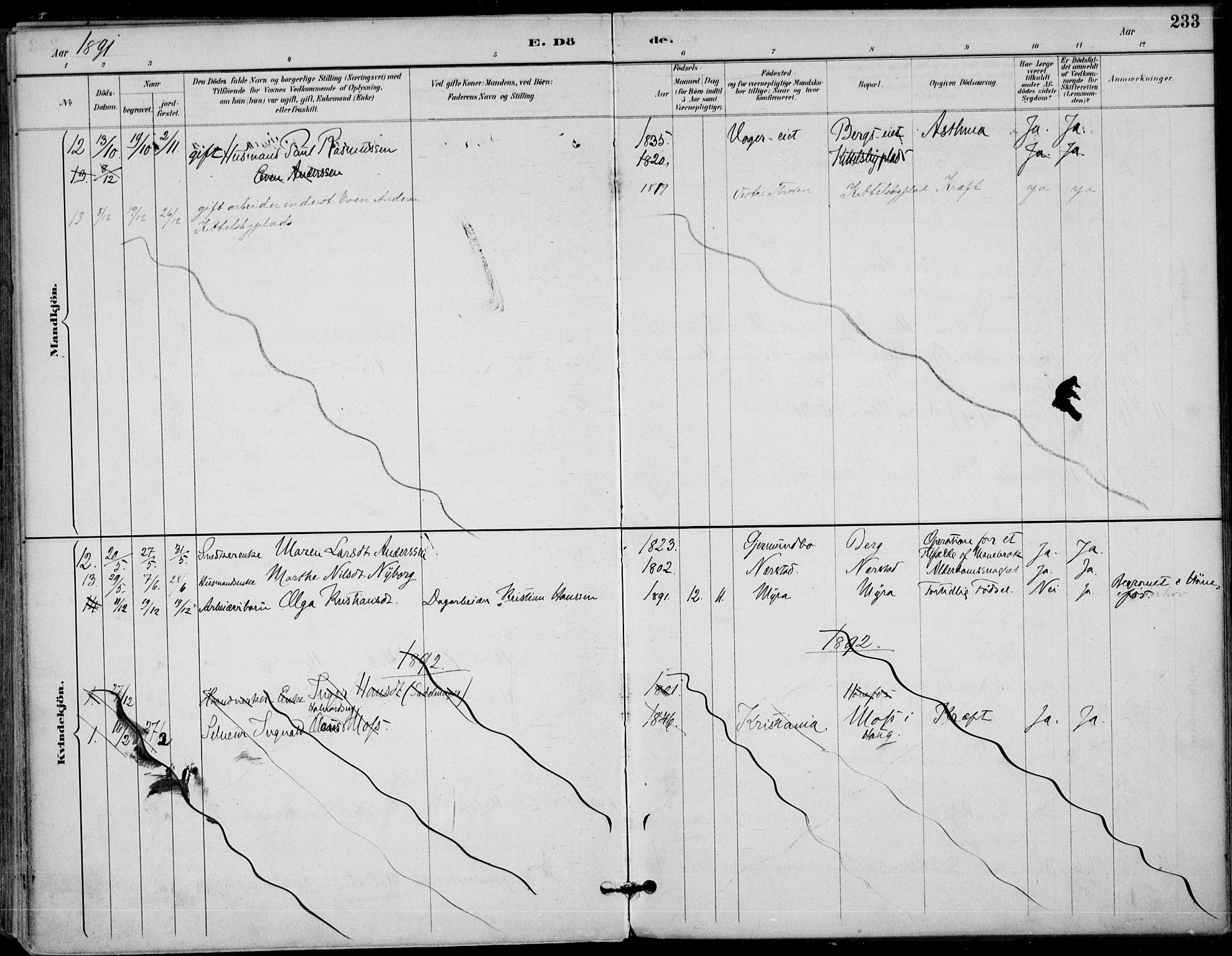 Haug kirkebøker, AV/SAKO-A-604/F/Fa/L0001: Parish register (official) no. 1, 1885-1917, p. 233