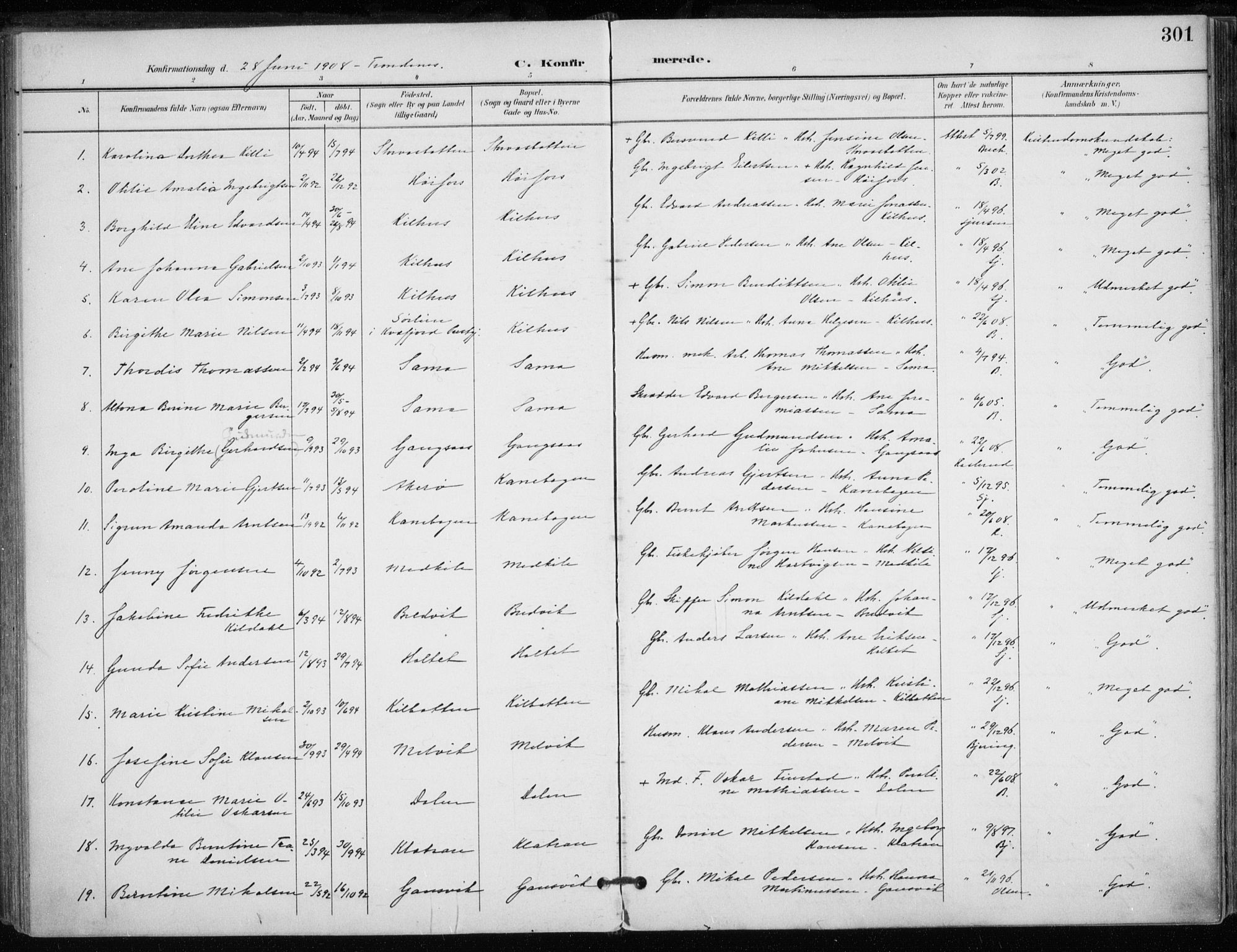 Trondenes sokneprestkontor, SATØ/S-1319/H/Ha/L0017kirke: Parish register (official) no. 17, 1899-1908, p. 301