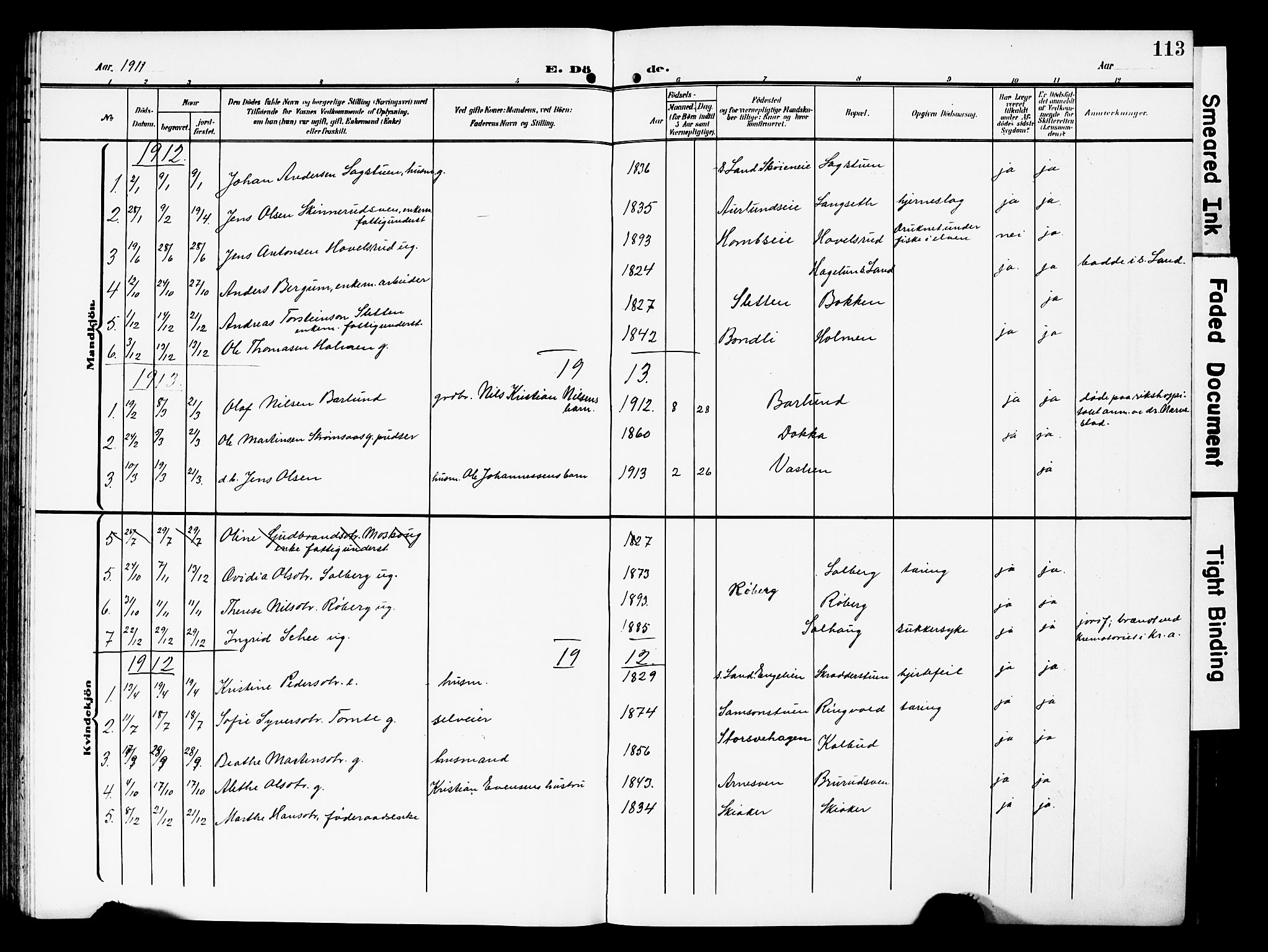 Nordre Land prestekontor, AV/SAH-PREST-124/H/Ha/Hab/L0001: Parish register (copy) no. 1, 1908-1931, p. 113