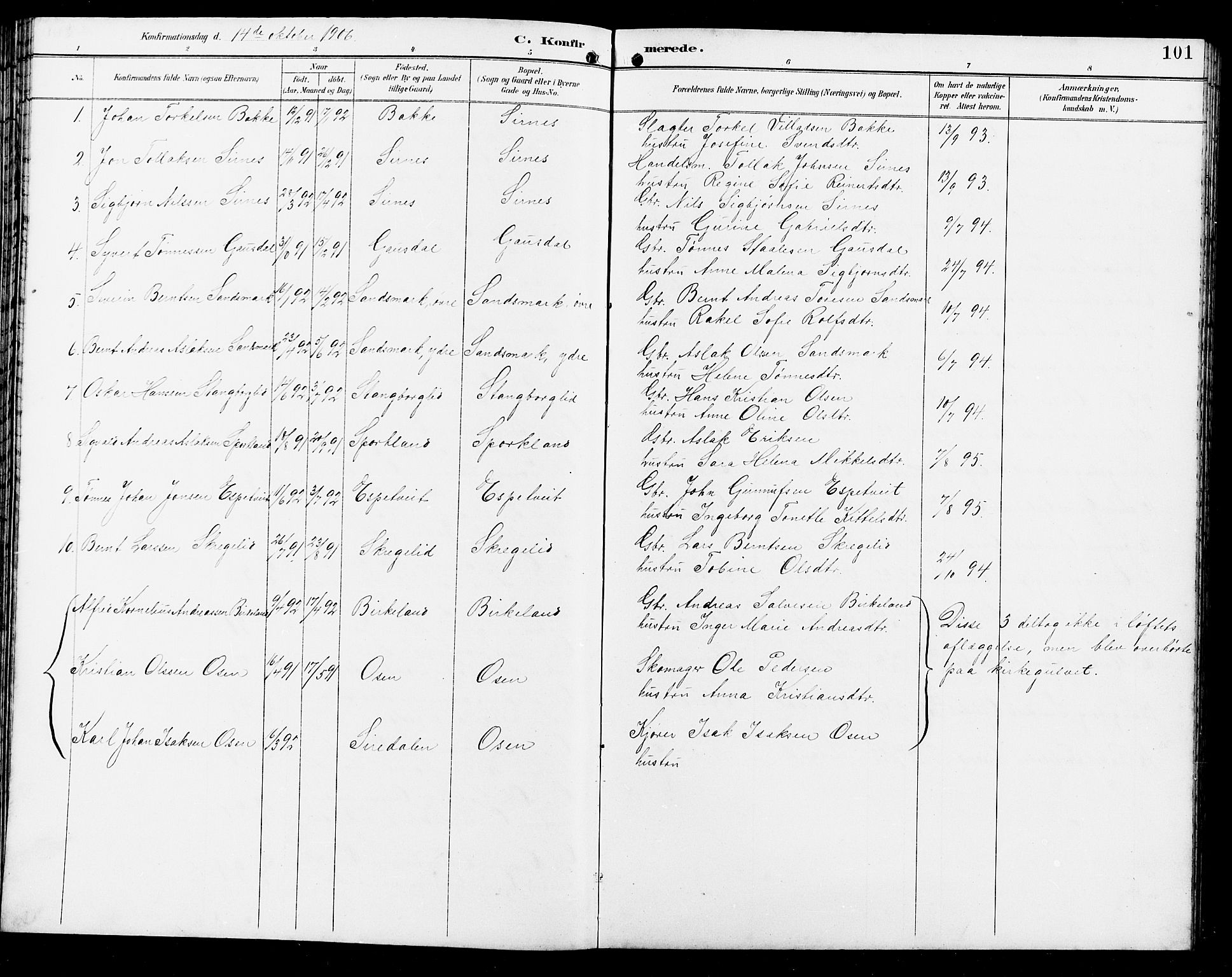 Bakke sokneprestkontor, AV/SAK-1111-0002/F/Fb/Fba/L0003: Parish register (copy) no. B 3, 1894-1910, p. 101