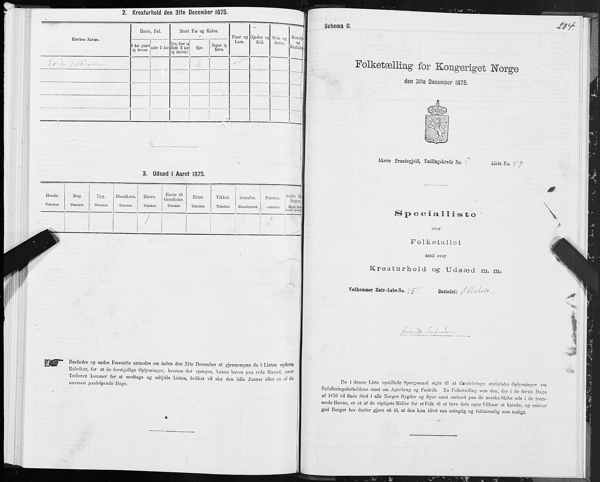 SAT, 1875 census for 1545P Aukra, 1875, p. 2234