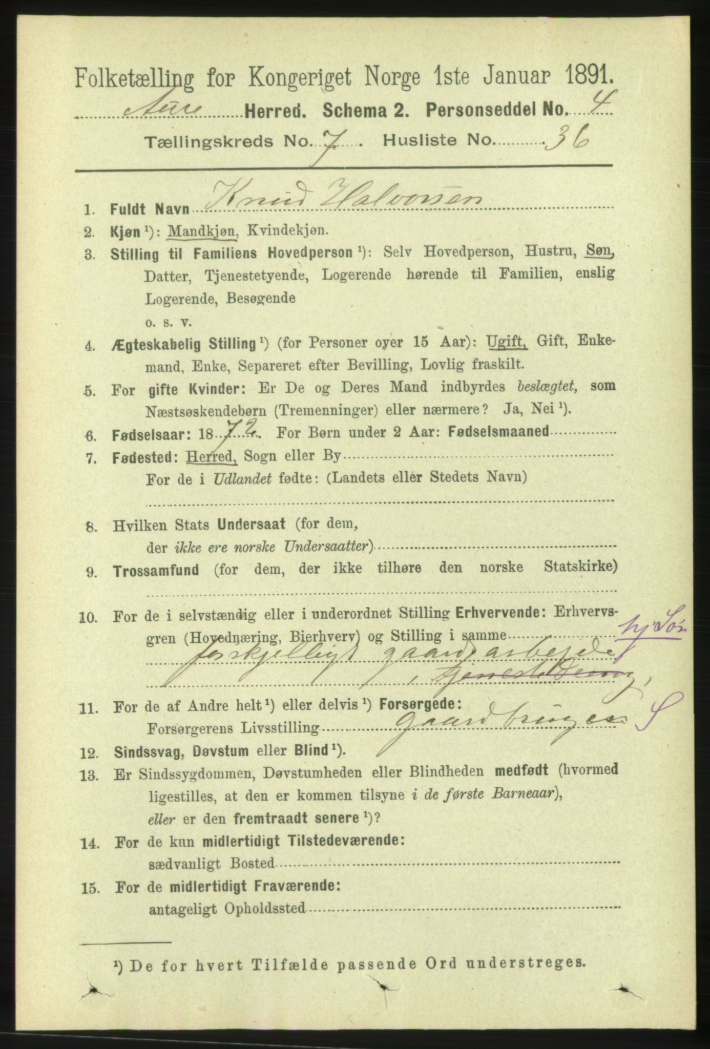 RA, 1891 census for 1569 Aure, 1891, p. 4084