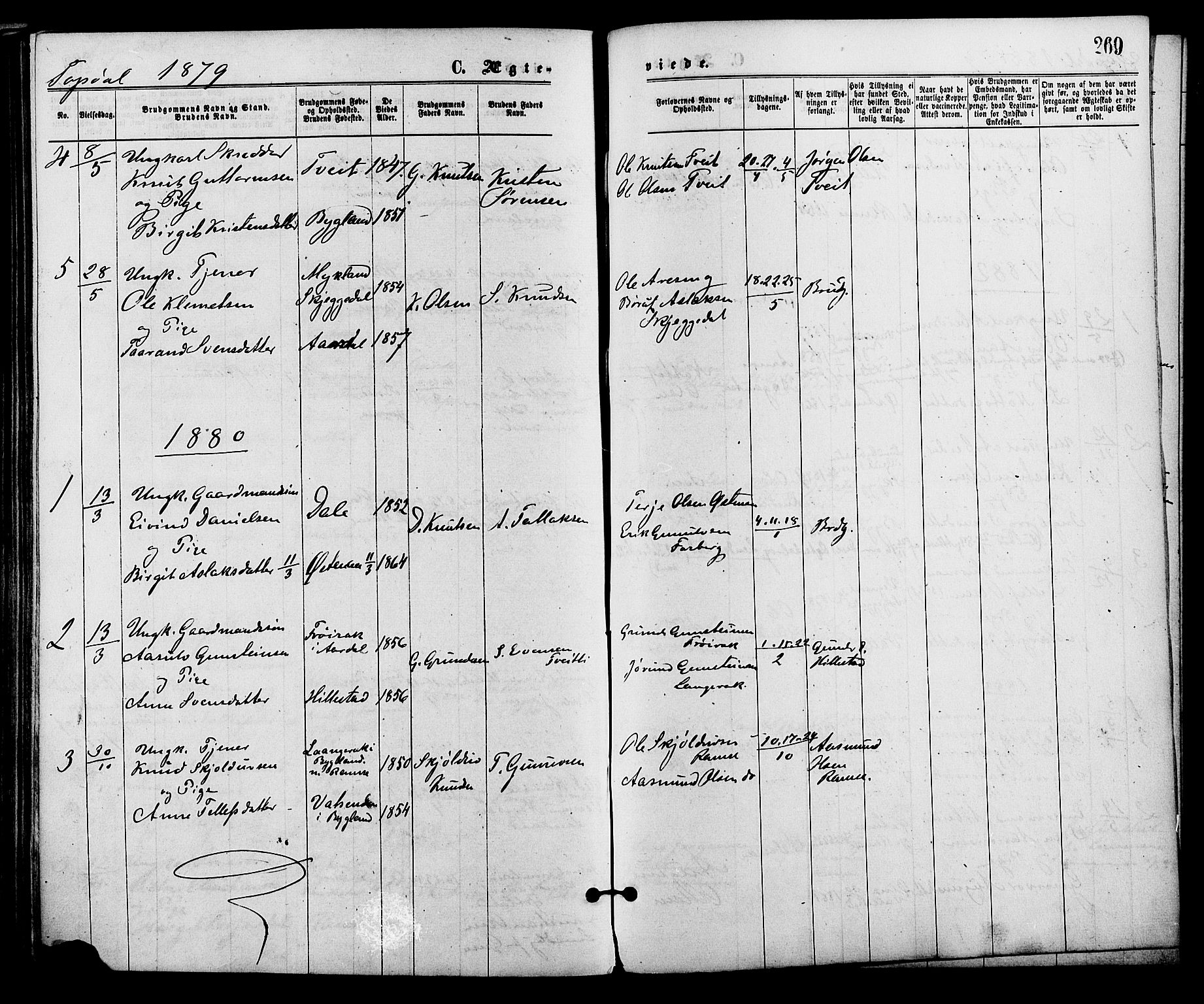 Åmli sokneprestkontor, SAK/1111-0050/F/Fa/Fac/L0009: Parish register (official) no. A 9 /3, 1869-1884, p. 269