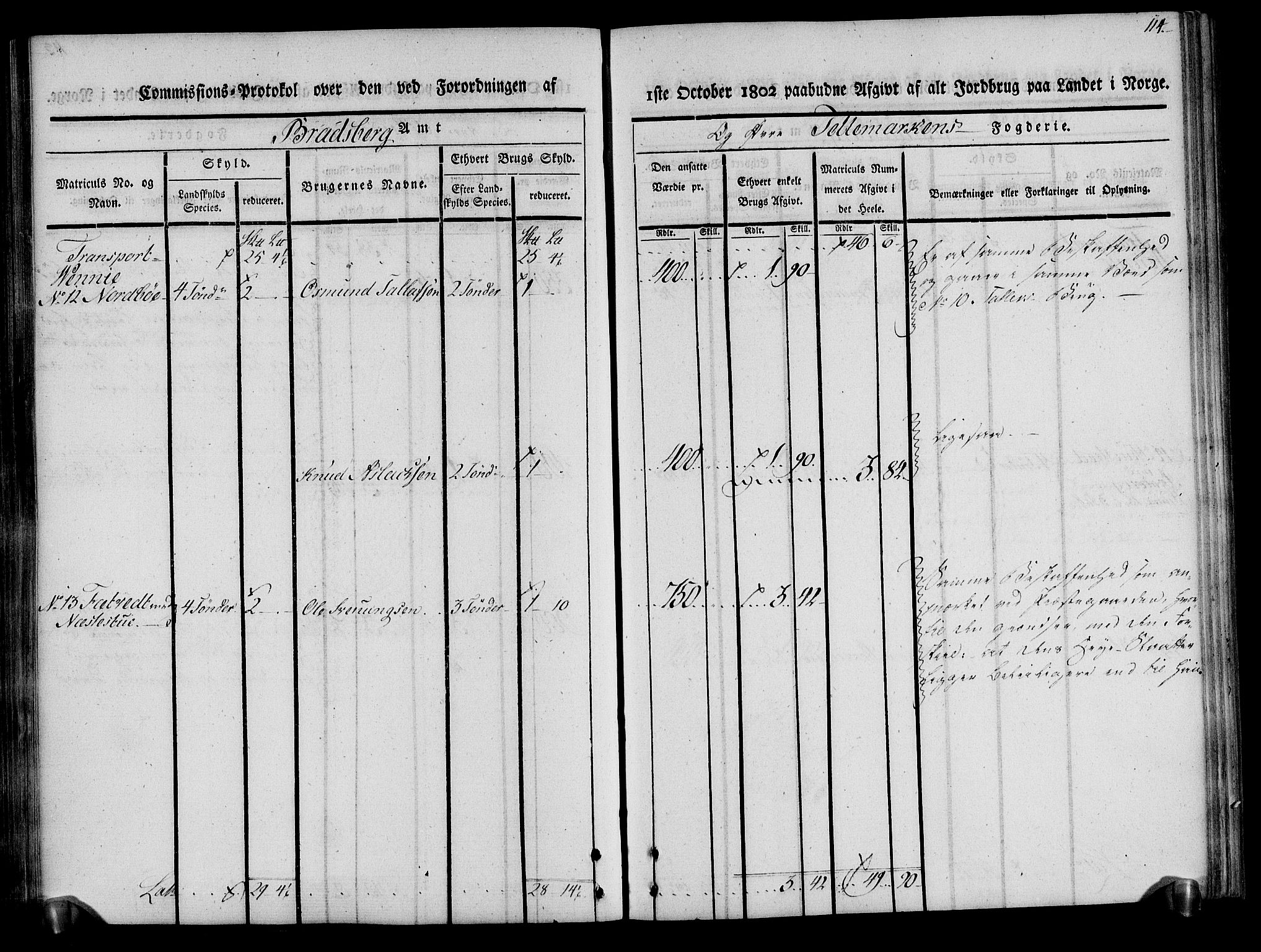 Rentekammeret inntil 1814, Realistisk ordnet avdeling, AV/RA-EA-4070/N/Ne/Nea/L0075: Øvre Telemarken fogderi. Kommisjonsprotokoll for fogderiets vestre del - Kviteseid, Vinje, Moland [):Fyresdal] og Lårdal prestegjeld., 1803, p. 114