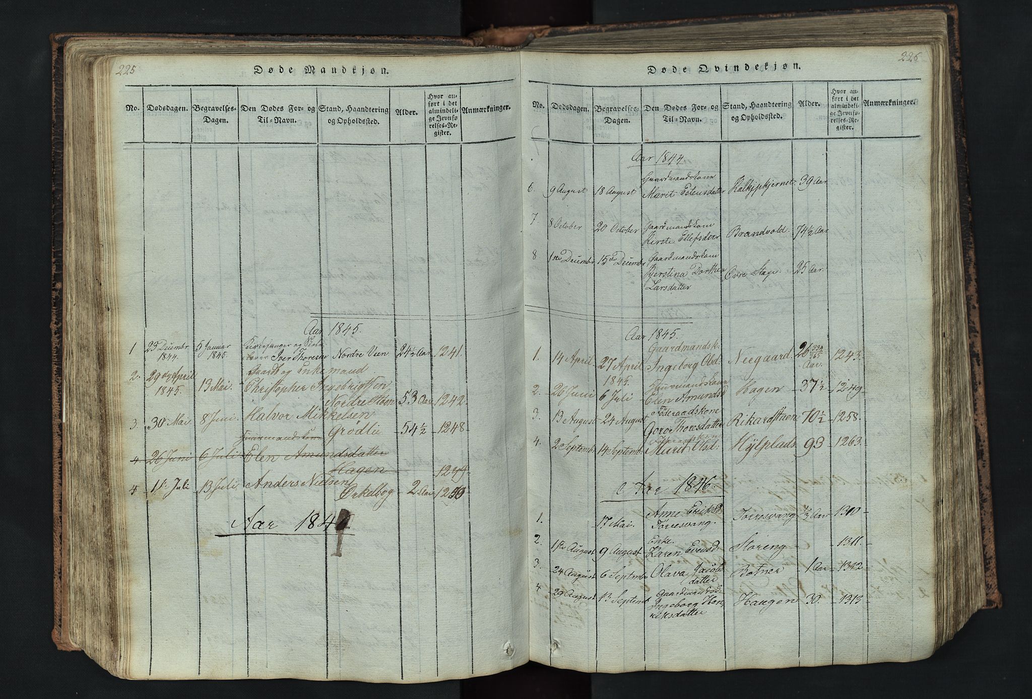 Kvikne prestekontor, SAH/PREST-064/H/Ha/Hab/L0001: Parish register (copy) no. 1, 1815-1895, p. 225-226