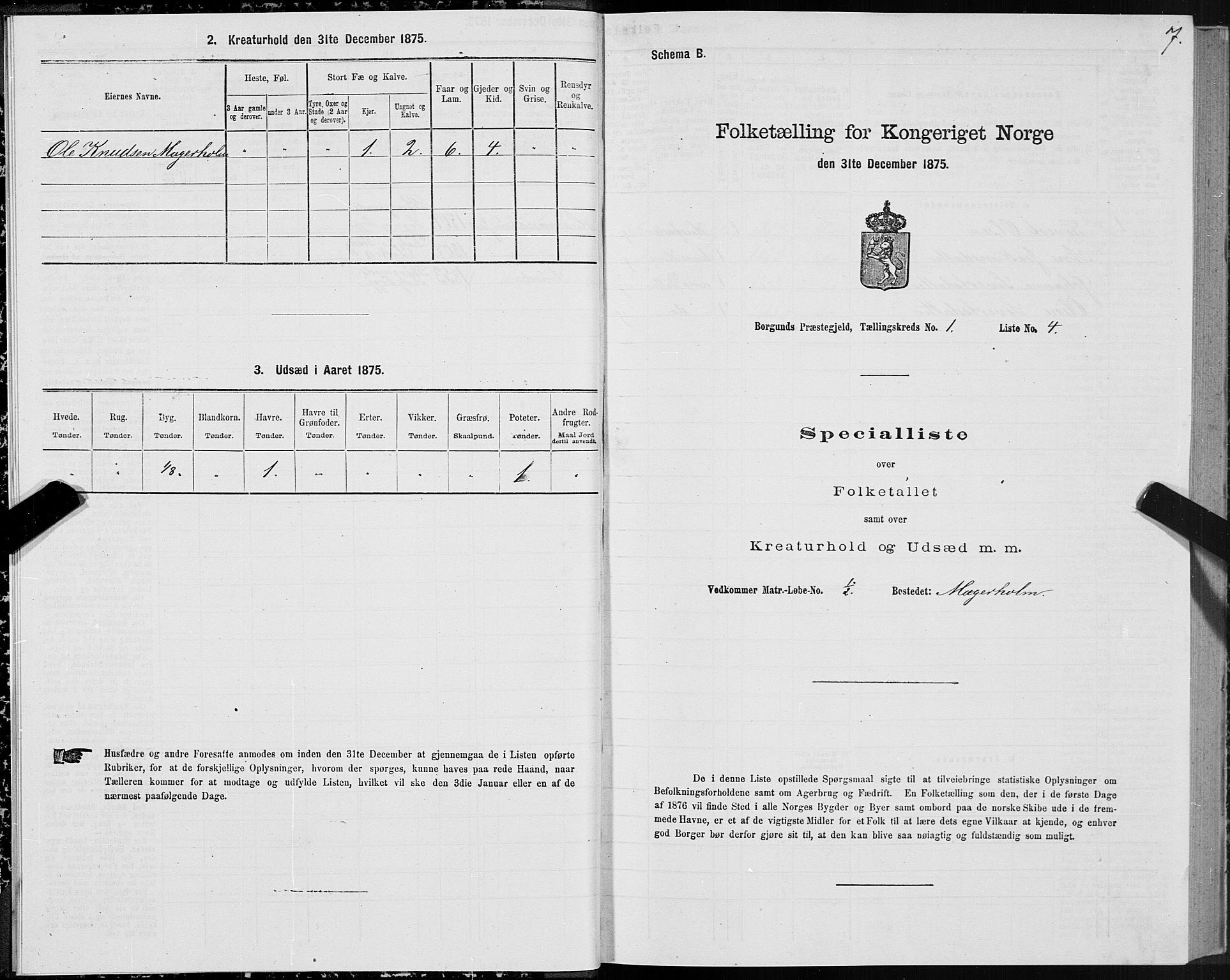 SAT, 1875 census for 1531P Borgund, 1875, p. 1007