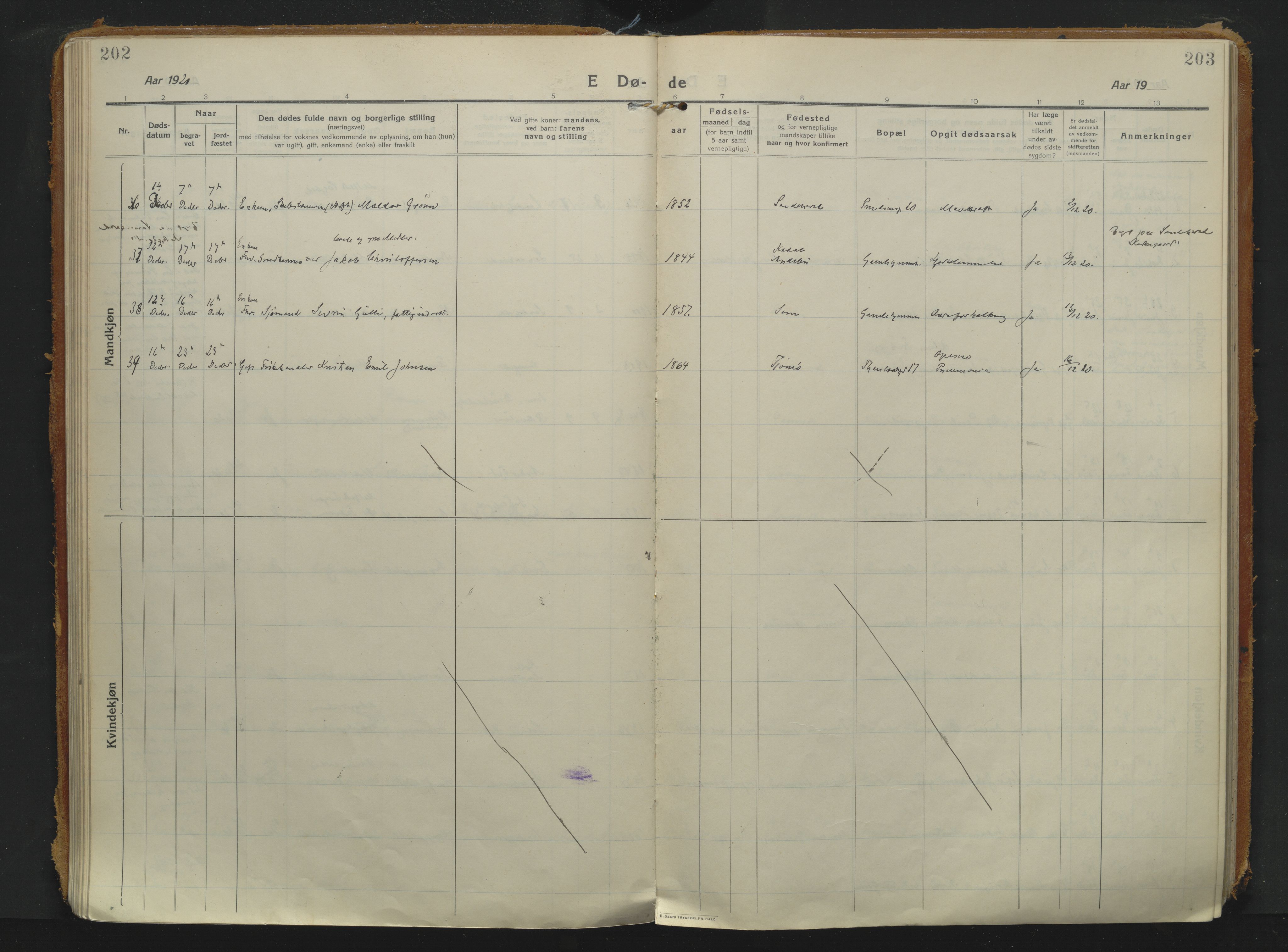 Sandefjord kirkebøker, SAKO/A-315/F/Fa/L0008: Parish register (official) no. 8, 1916-1926, p. 202-203