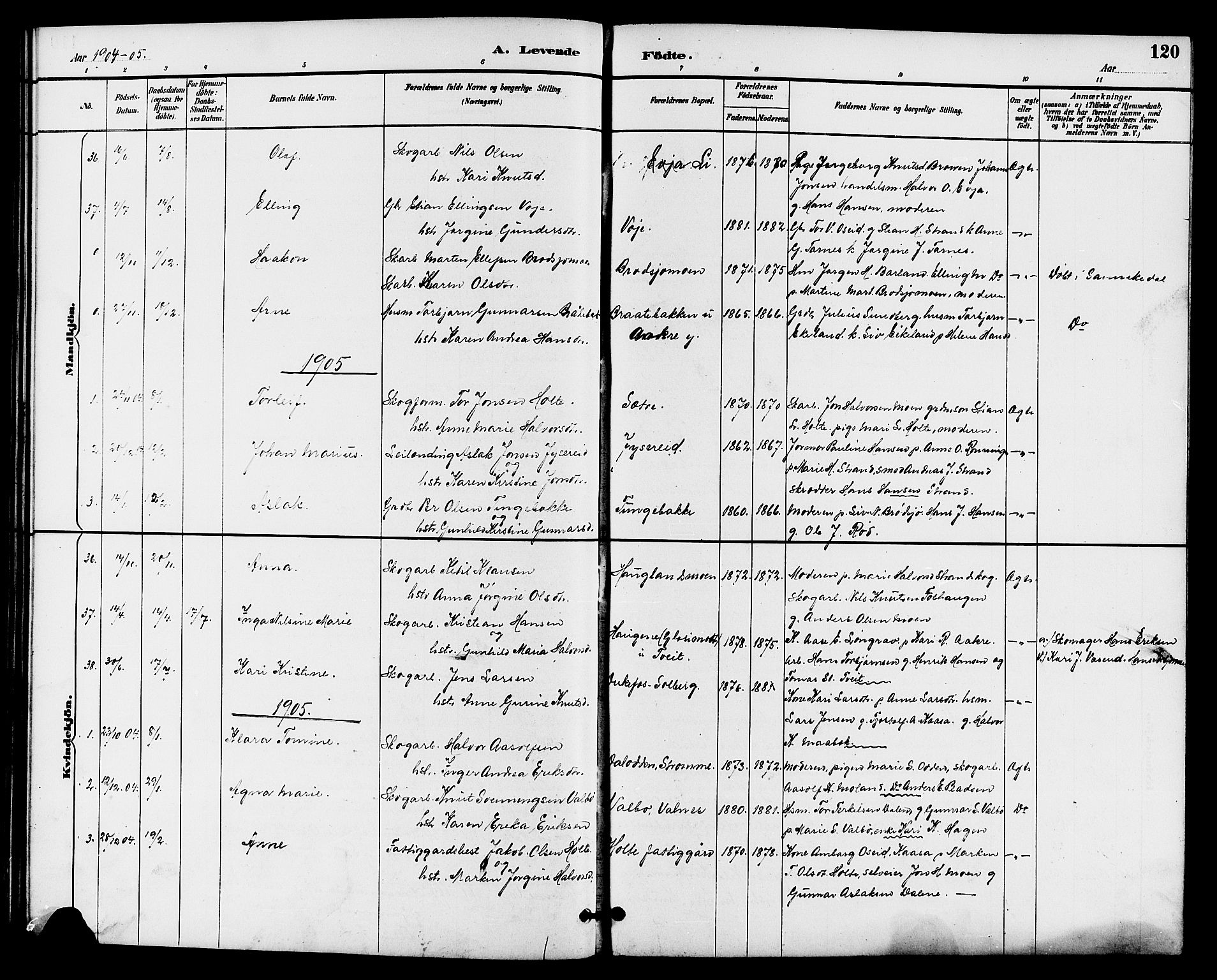 Drangedal kirkebøker, SAKO/A-258/G/Ga/L0003: Parish register (copy) no. I 3, 1887-1906, p. 120