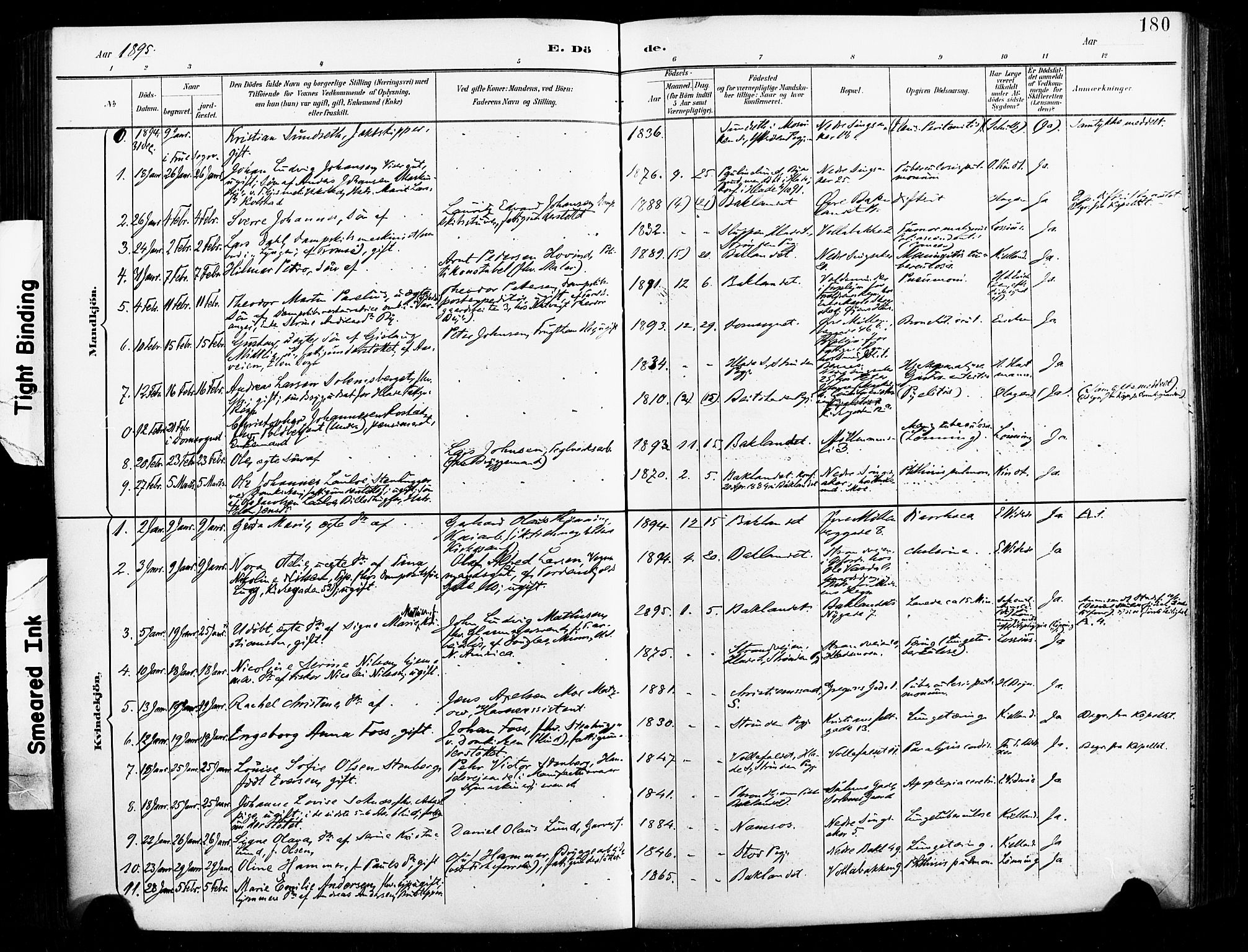 Ministerialprotokoller, klokkerbøker og fødselsregistre - Sør-Trøndelag, SAT/A-1456/604/L0198: Parish register (official) no. 604A19, 1893-1900, p. 180