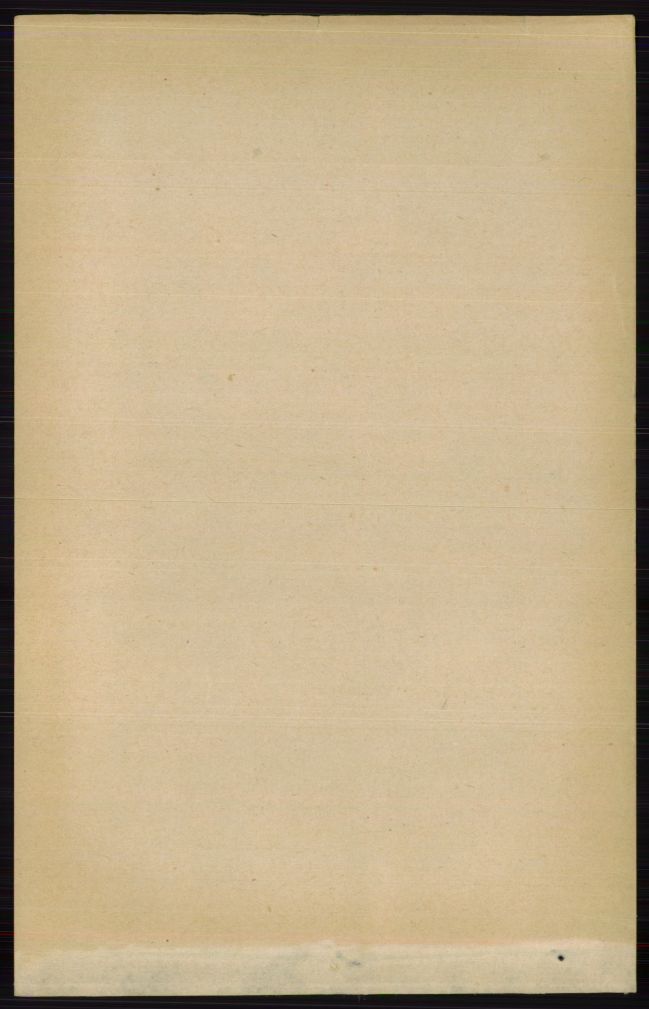 RA, 1891 census for 0425 Åsnes, 1891, p. 112