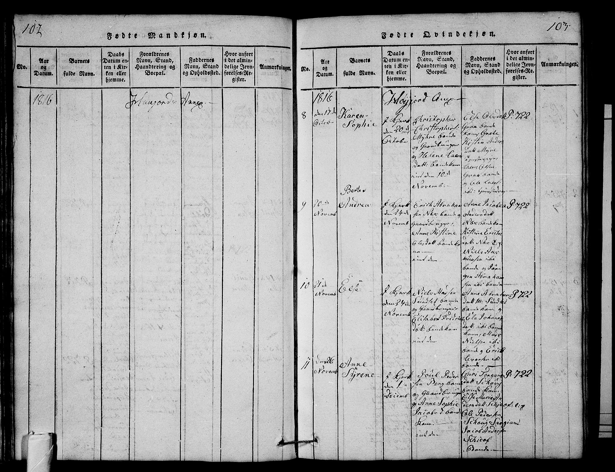 Andebu kirkebøker, AV/SAKO-A-336/G/Ga/L0001: Parish register (copy) no. I 1 /2, 1815-1823, p. 102-103