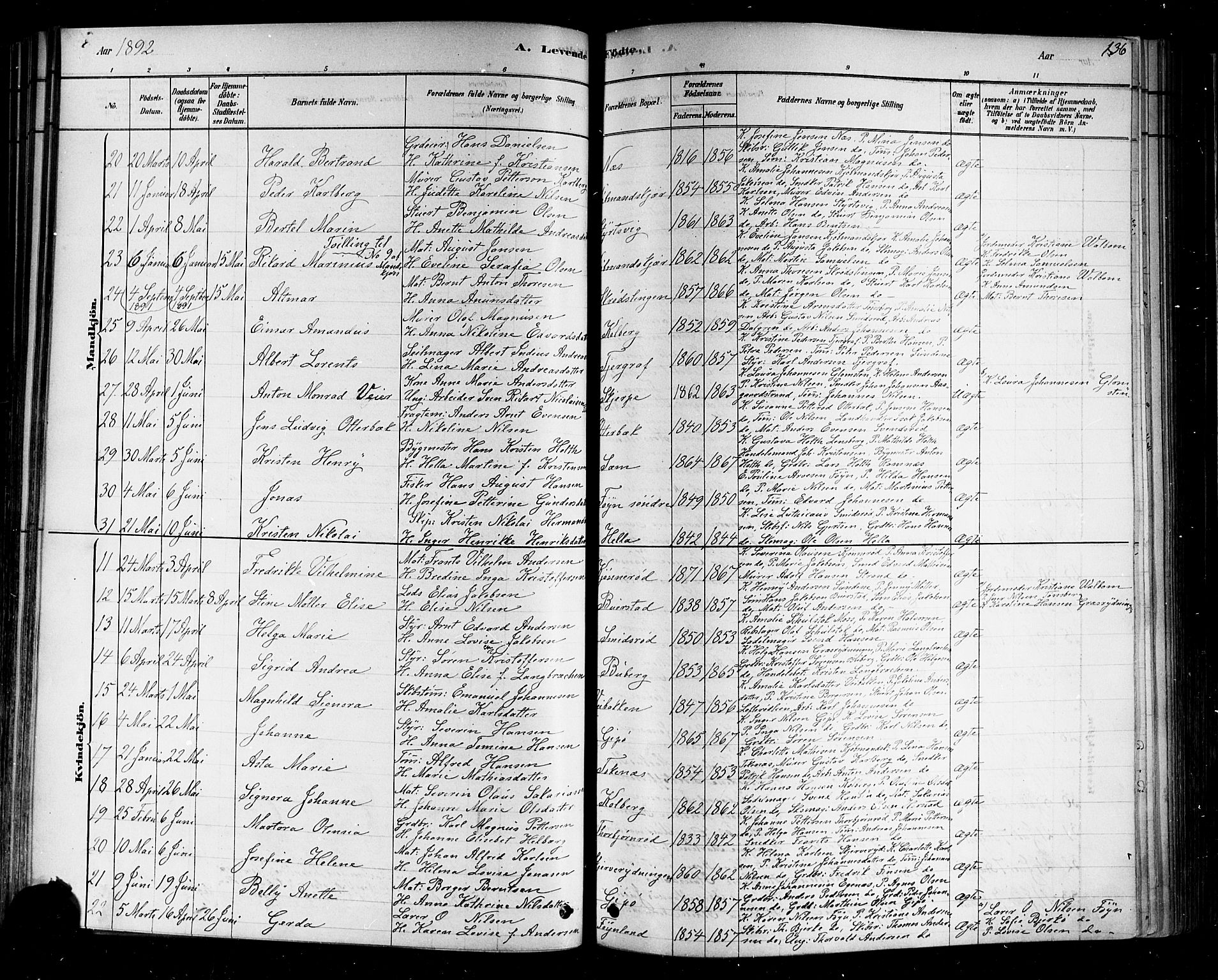 Nøtterøy kirkebøker, AV/SAKO-A-354/F/Fa/L0008: Parish register (official) no. I 8, 1878-1893, p. 136