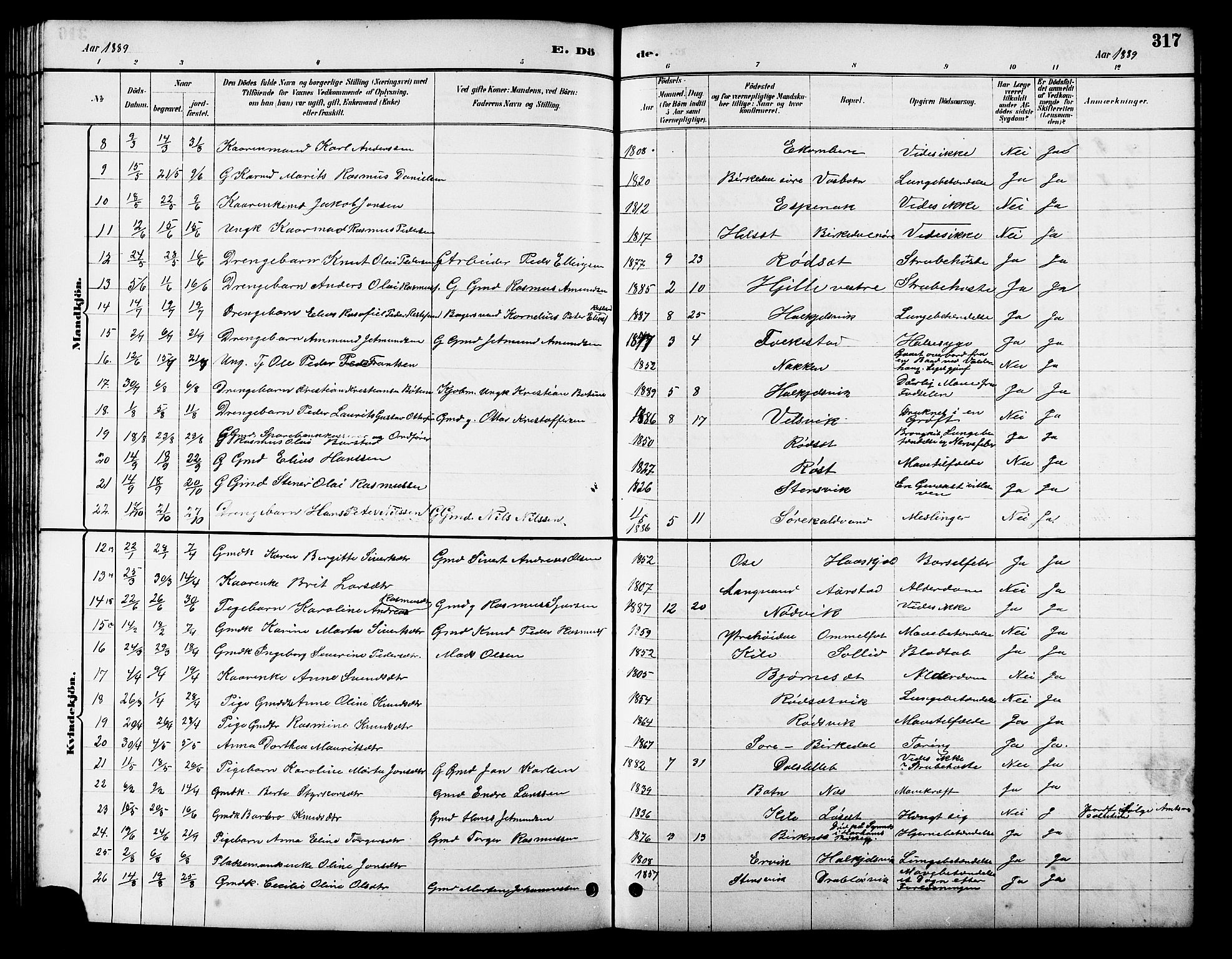 Ministerialprotokoller, klokkerbøker og fødselsregistre - Møre og Romsdal, AV/SAT-A-1454/511/L0158: Parish register (copy) no. 511C04, 1884-1903, p. 317