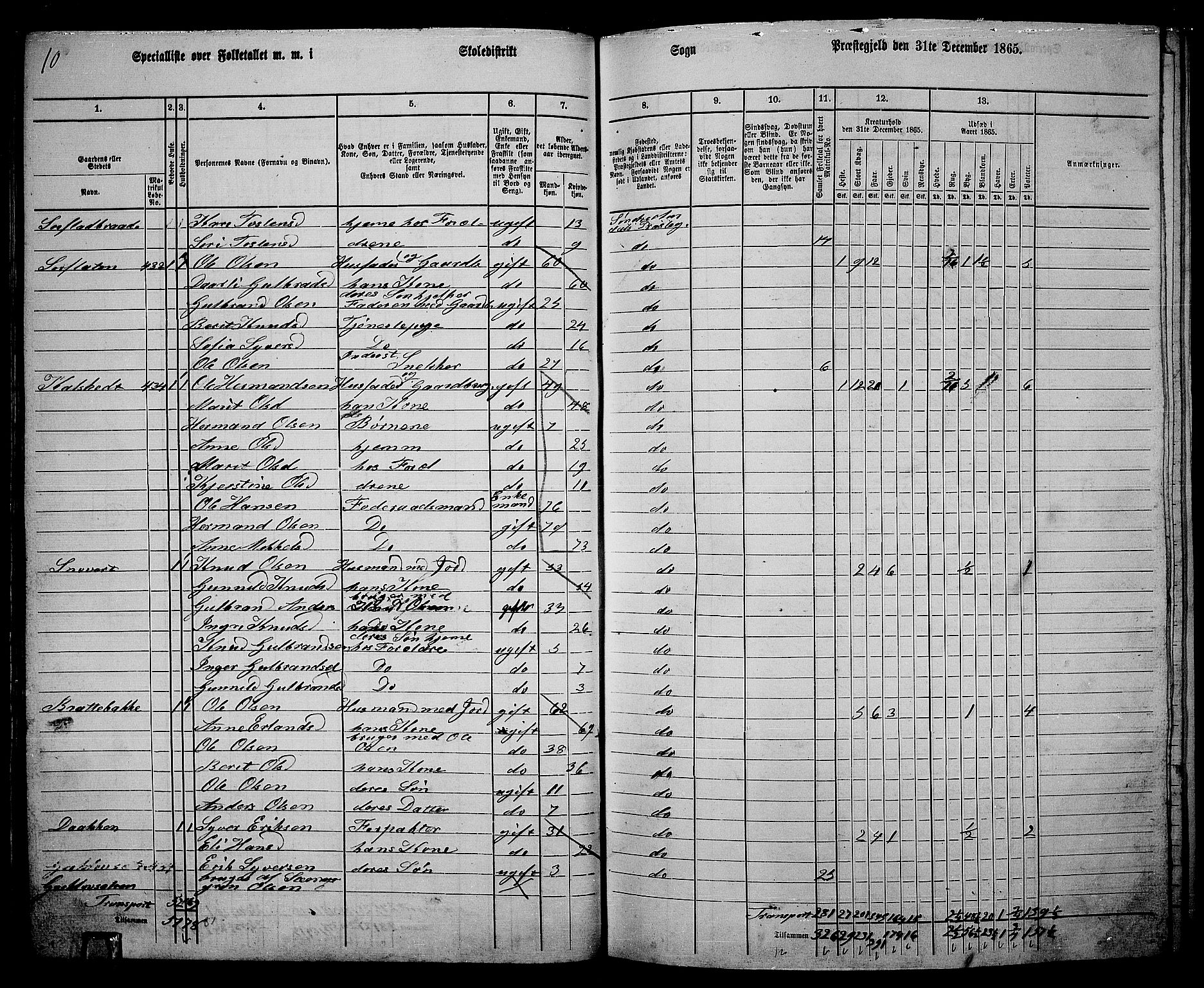 RA, 1865 census for Sør-Aurdal, 1865, p. 58