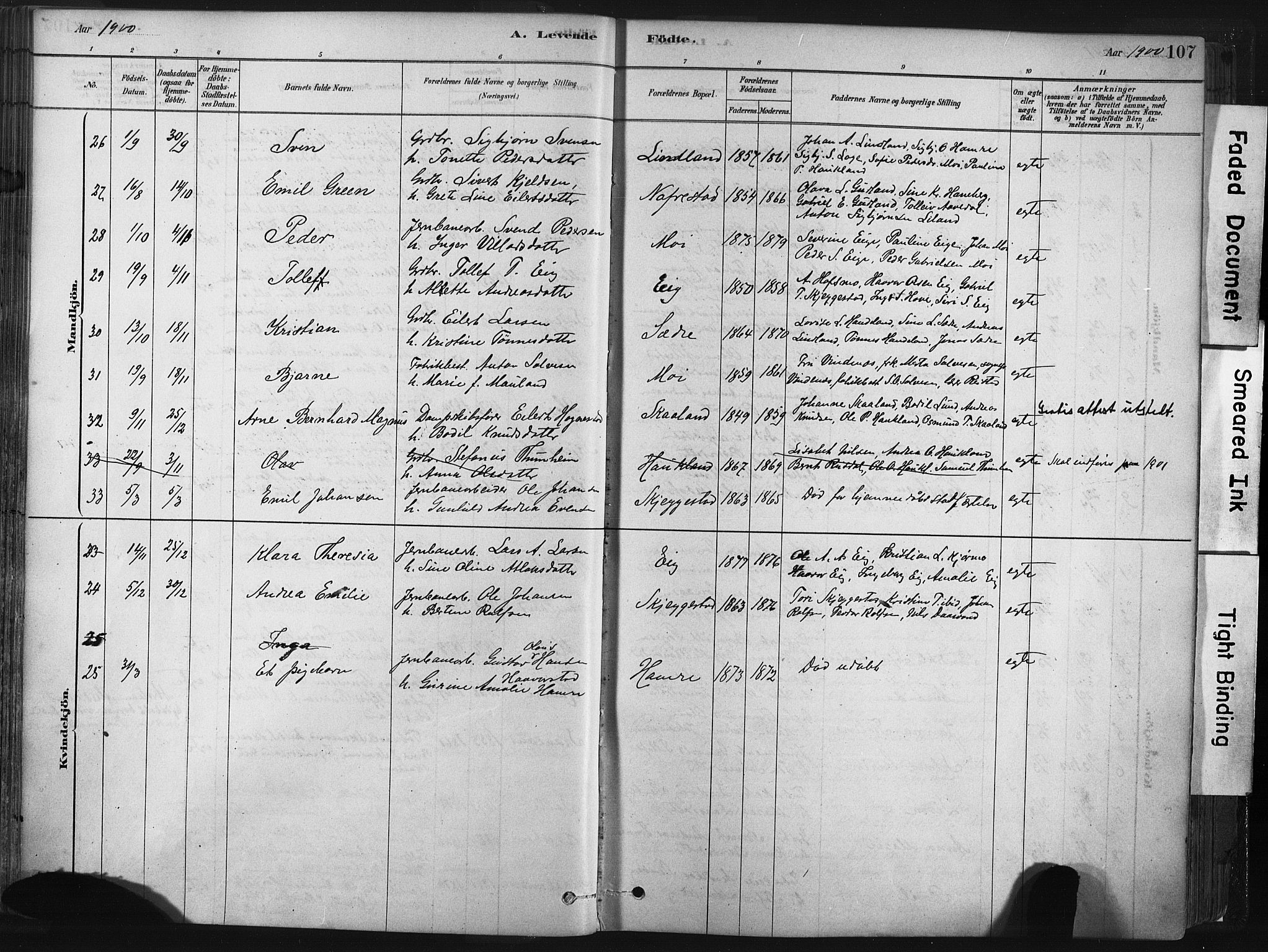 Lund sokneprestkontor, SAST/A-101809/S06/L0011: Parish register (official) no. A 10, 1877-1904, p. 107