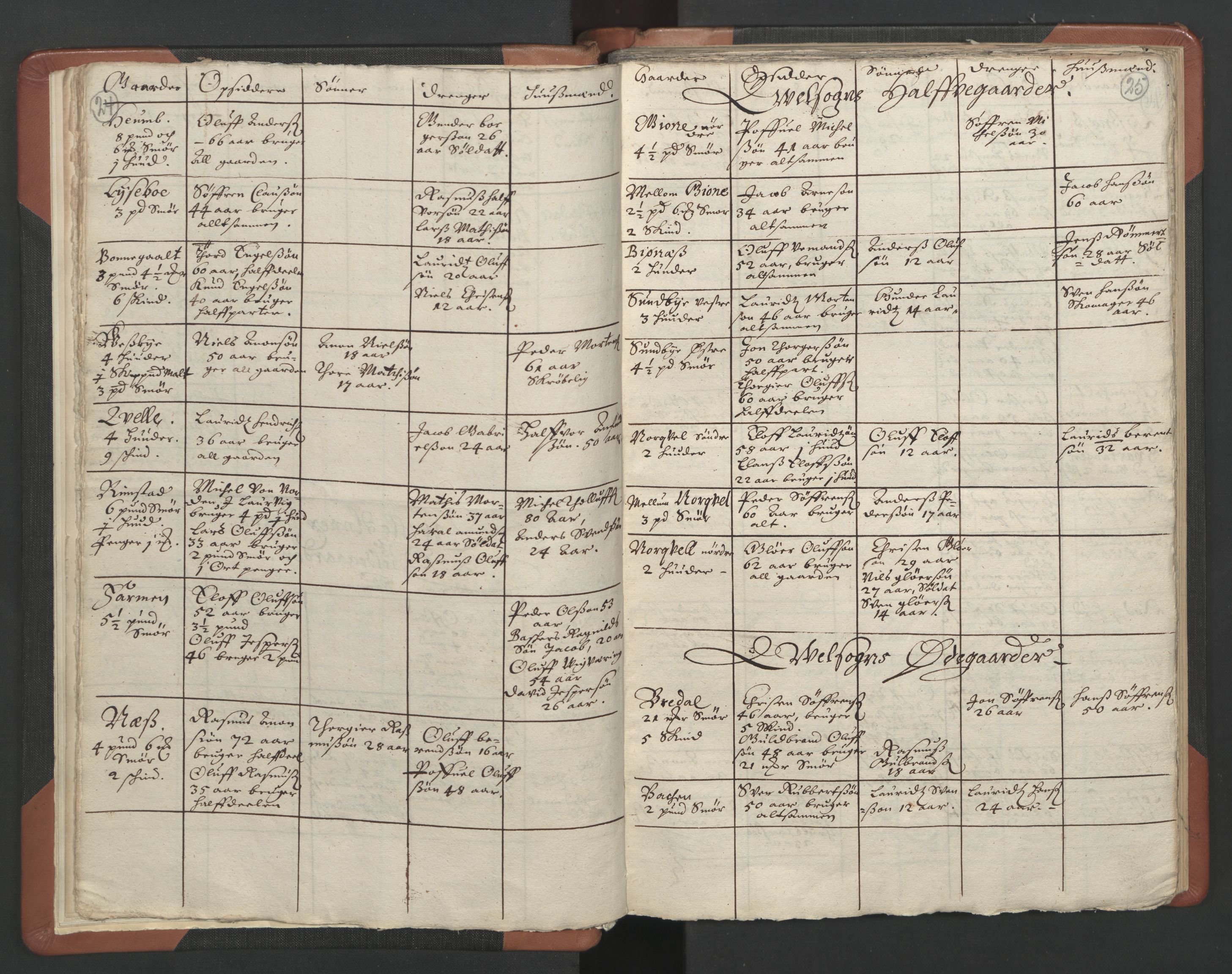 RA, Vicar's Census 1664-1666, no. 11: Brunlanes deanery, 1664-1666, p. 24-25