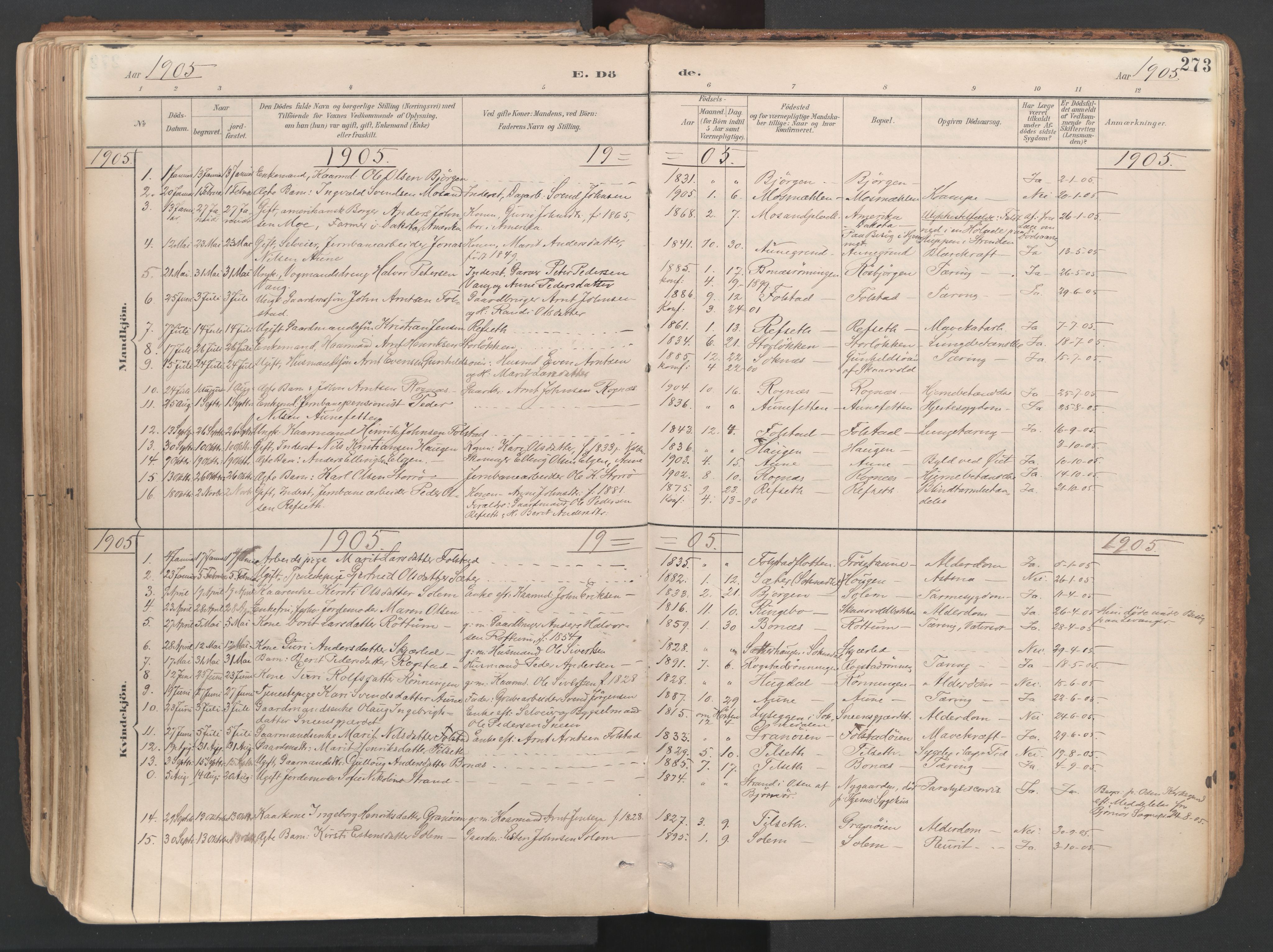 Ministerialprotokoller, klokkerbøker og fødselsregistre - Sør-Trøndelag, SAT/A-1456/687/L1004: Parish register (official) no. 687A10, 1891-1923, p. 273