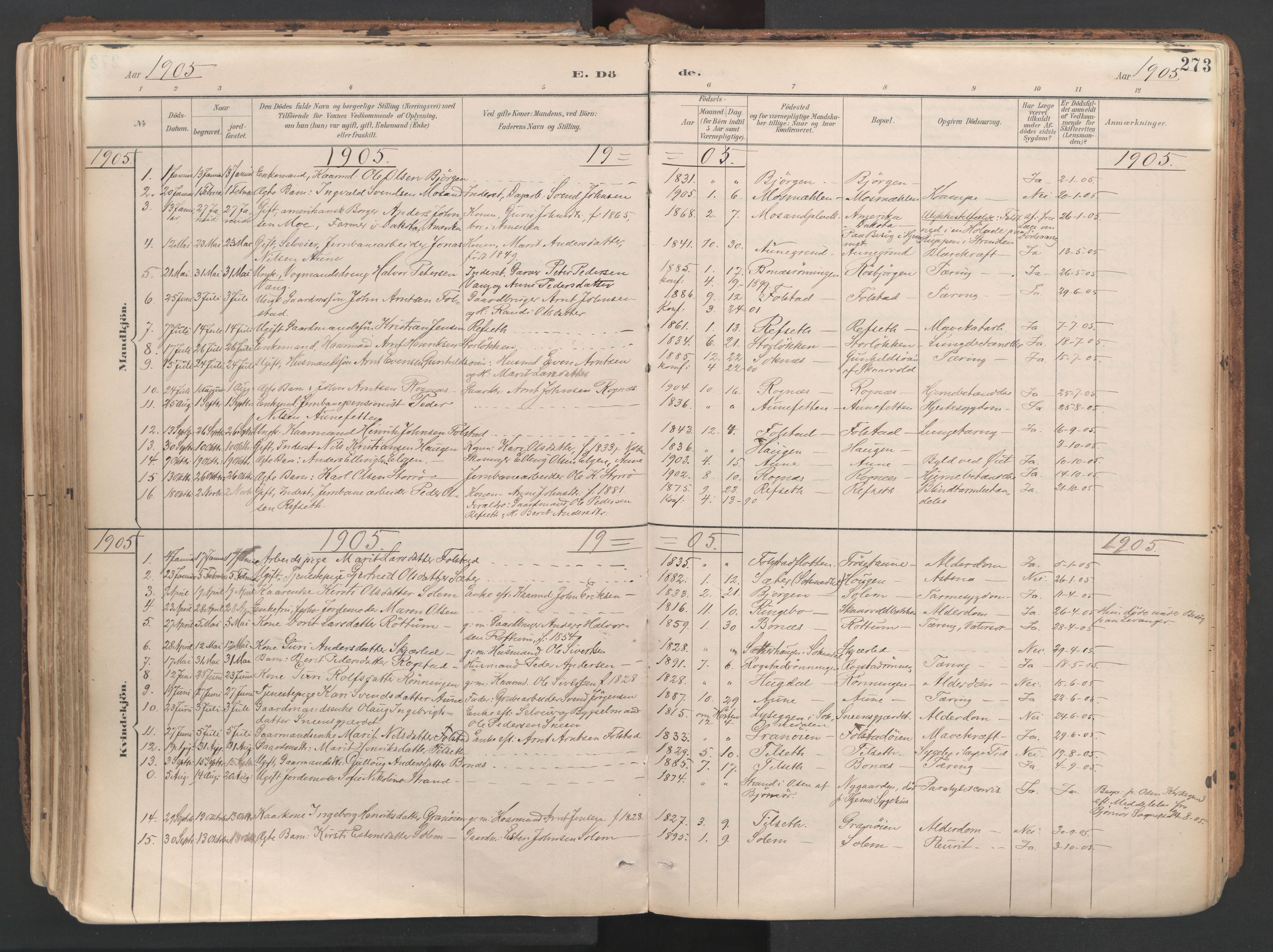 Ministerialprotokoller, klokkerbøker og fødselsregistre - Sør-Trøndelag, AV/SAT-A-1456/687/L1004: Parish register (official) no. 687A10, 1891-1923, p. 273