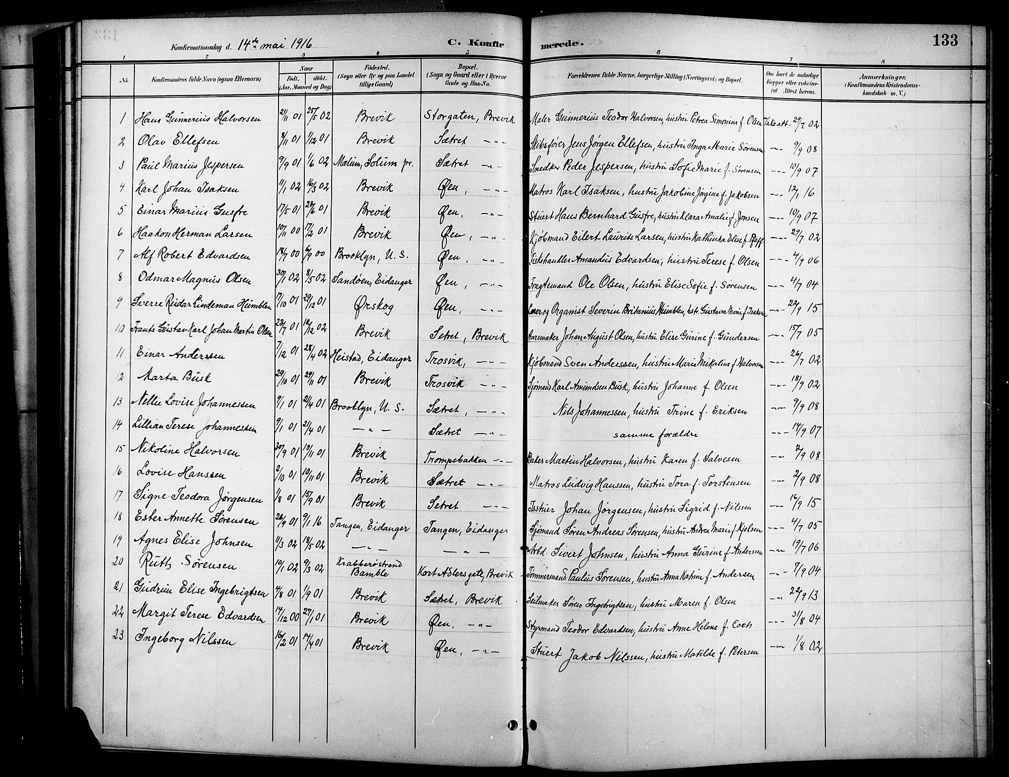 Brevik kirkebøker, SAKO/A-255/G/Ga/L0005: Parish register (copy) no. 5, 1901-1924, p. 133