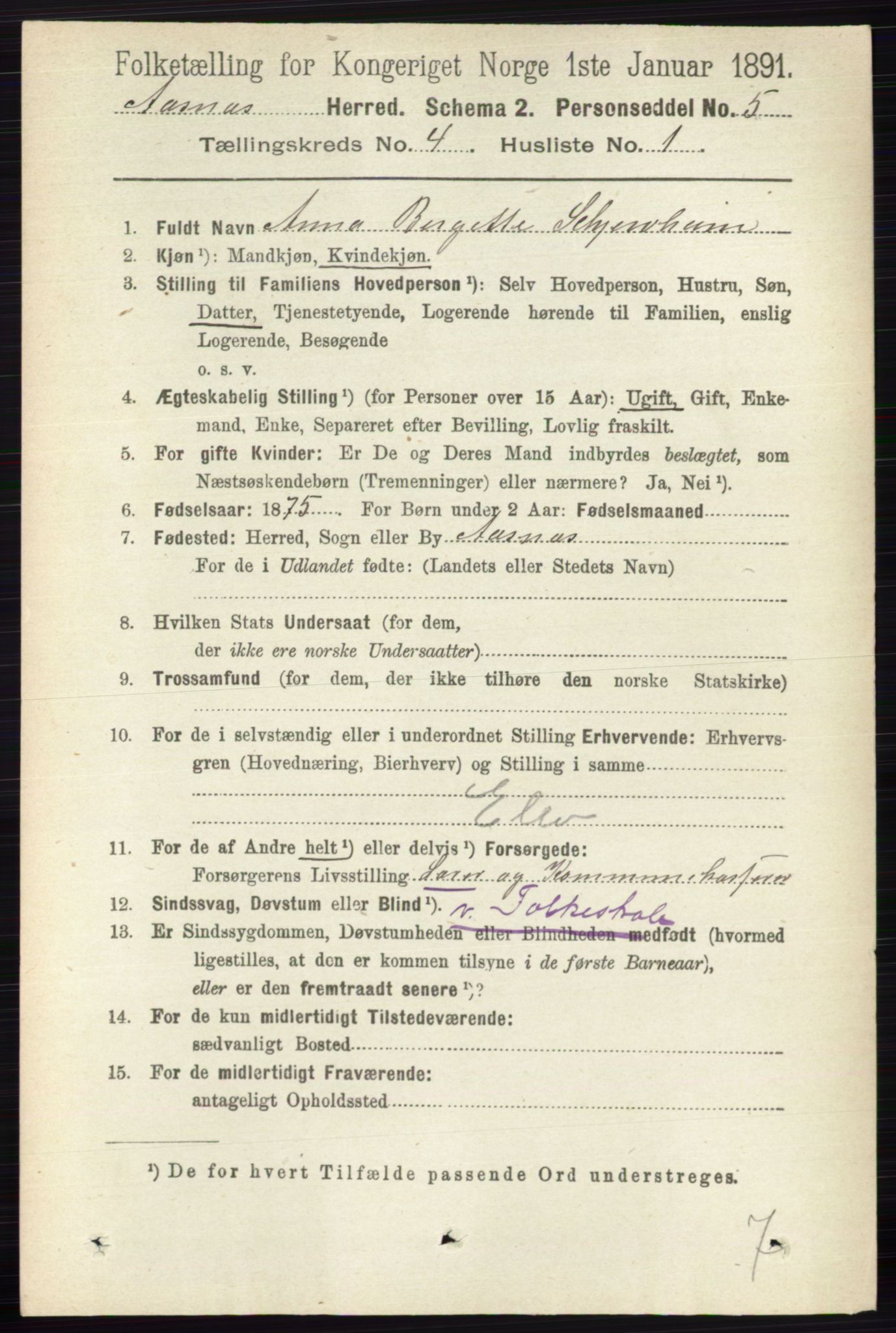 RA, 1891 census for 0425 Åsnes, 1891, p. 1675