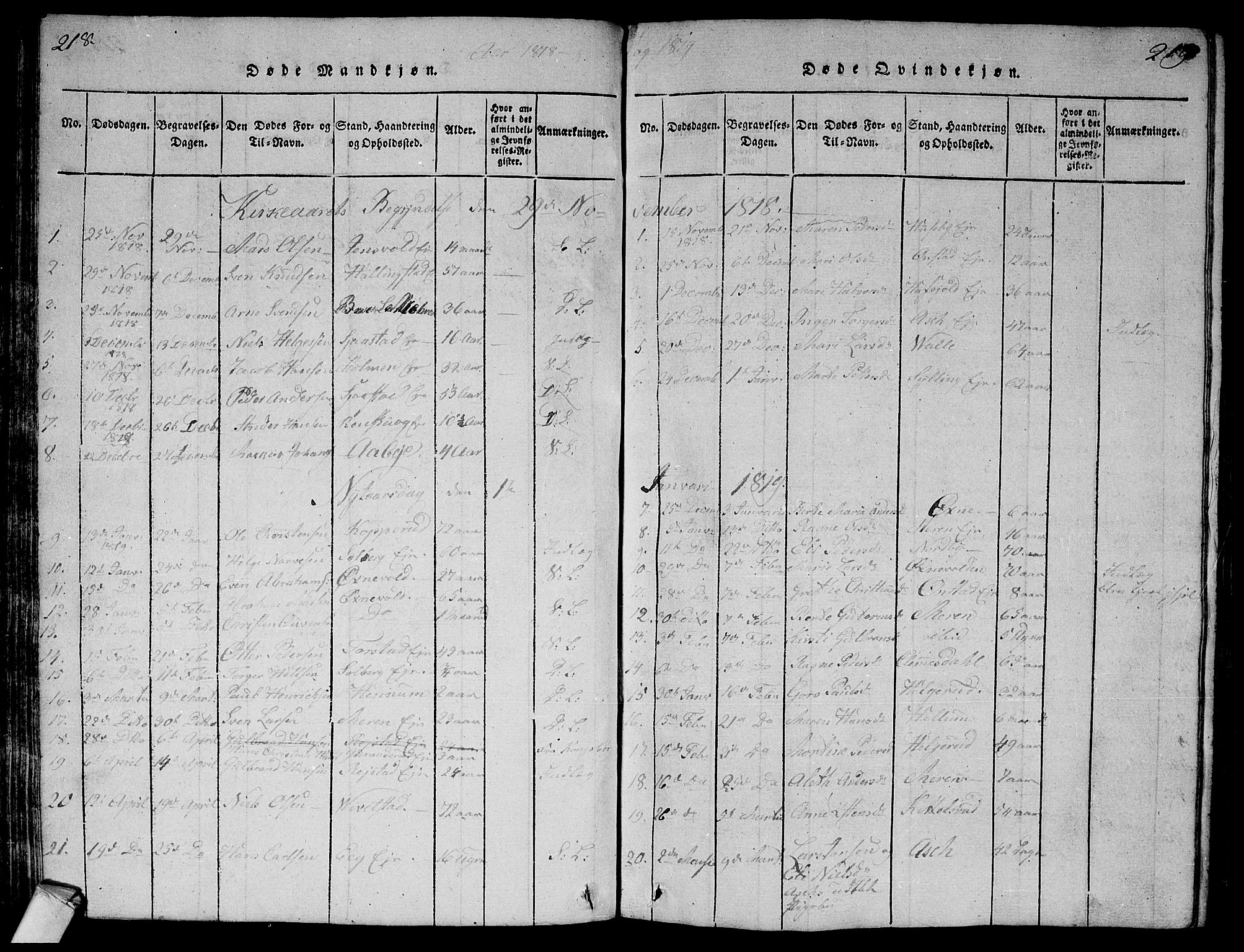 Lier kirkebøker, SAKO/A-230/G/Ga/L0001: Parish register (copy) no. I 1, 1813-1824, p. 218-219