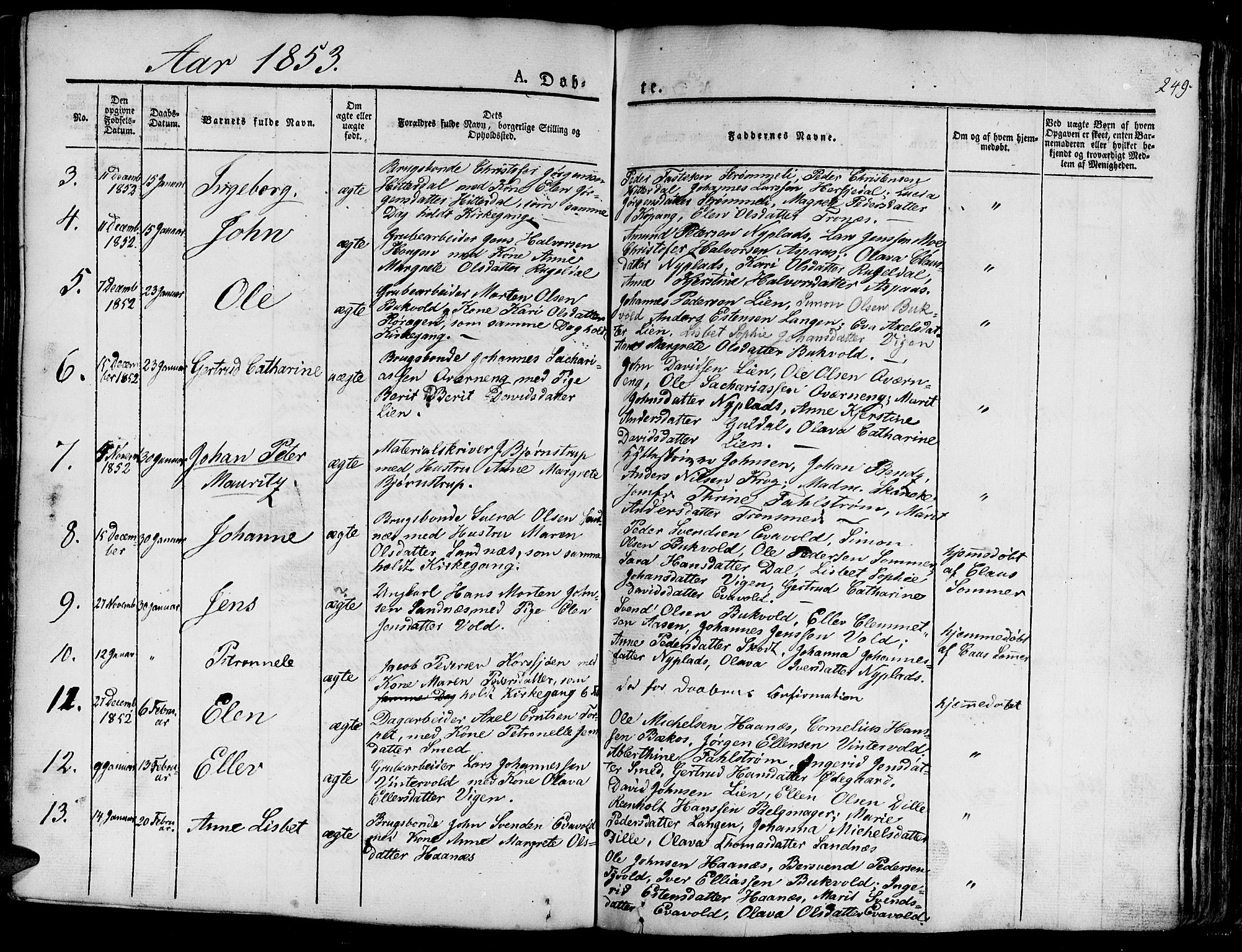 Ministerialprotokoller, klokkerbøker og fødselsregistre - Sør-Trøndelag, SAT/A-1456/681/L0938: Parish register (copy) no. 681C02, 1829-1879, p. 249